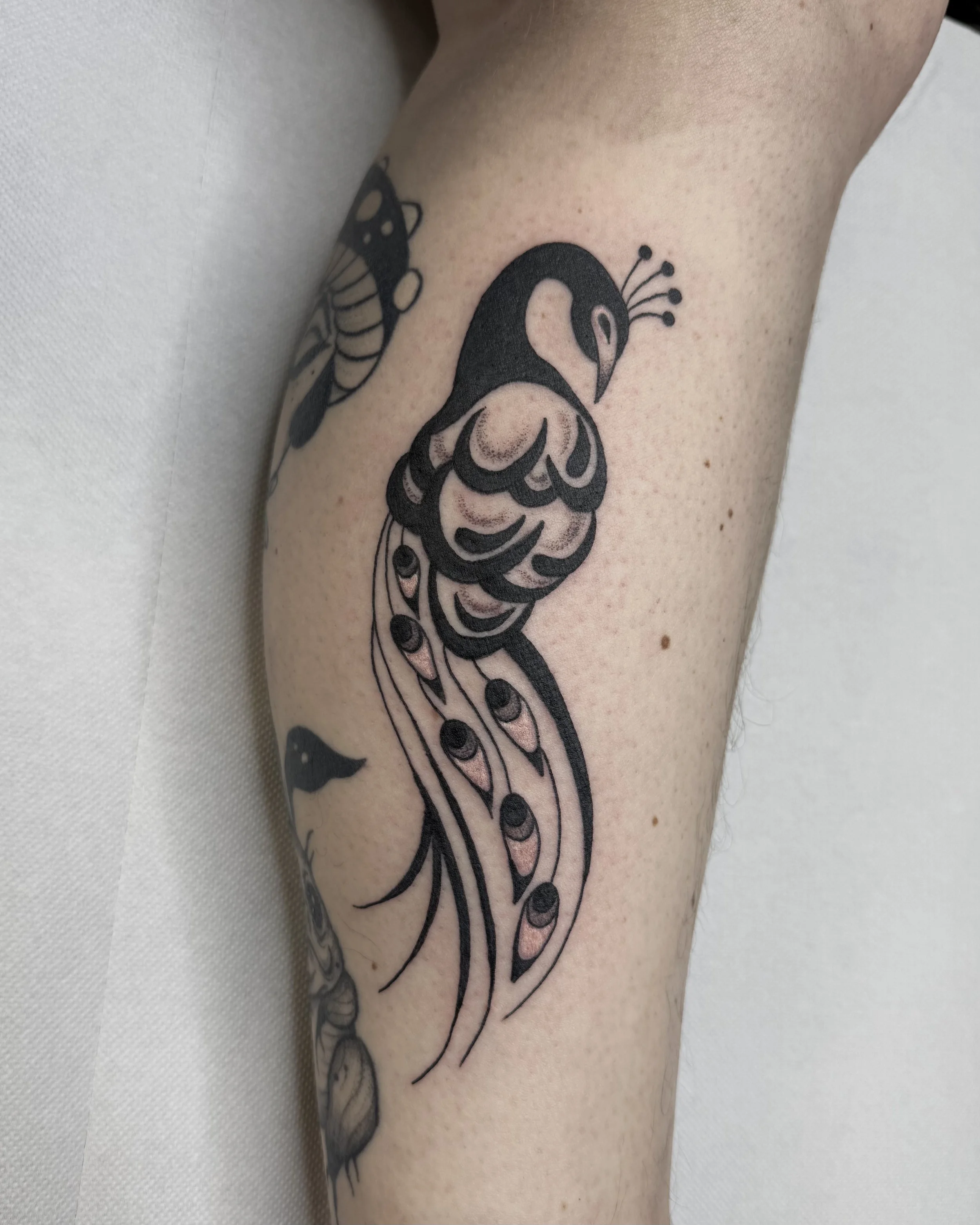 Pfau · Stripped Illustratives Blackwork Tattoo · The Art of Judy · Frankfurt am Main
