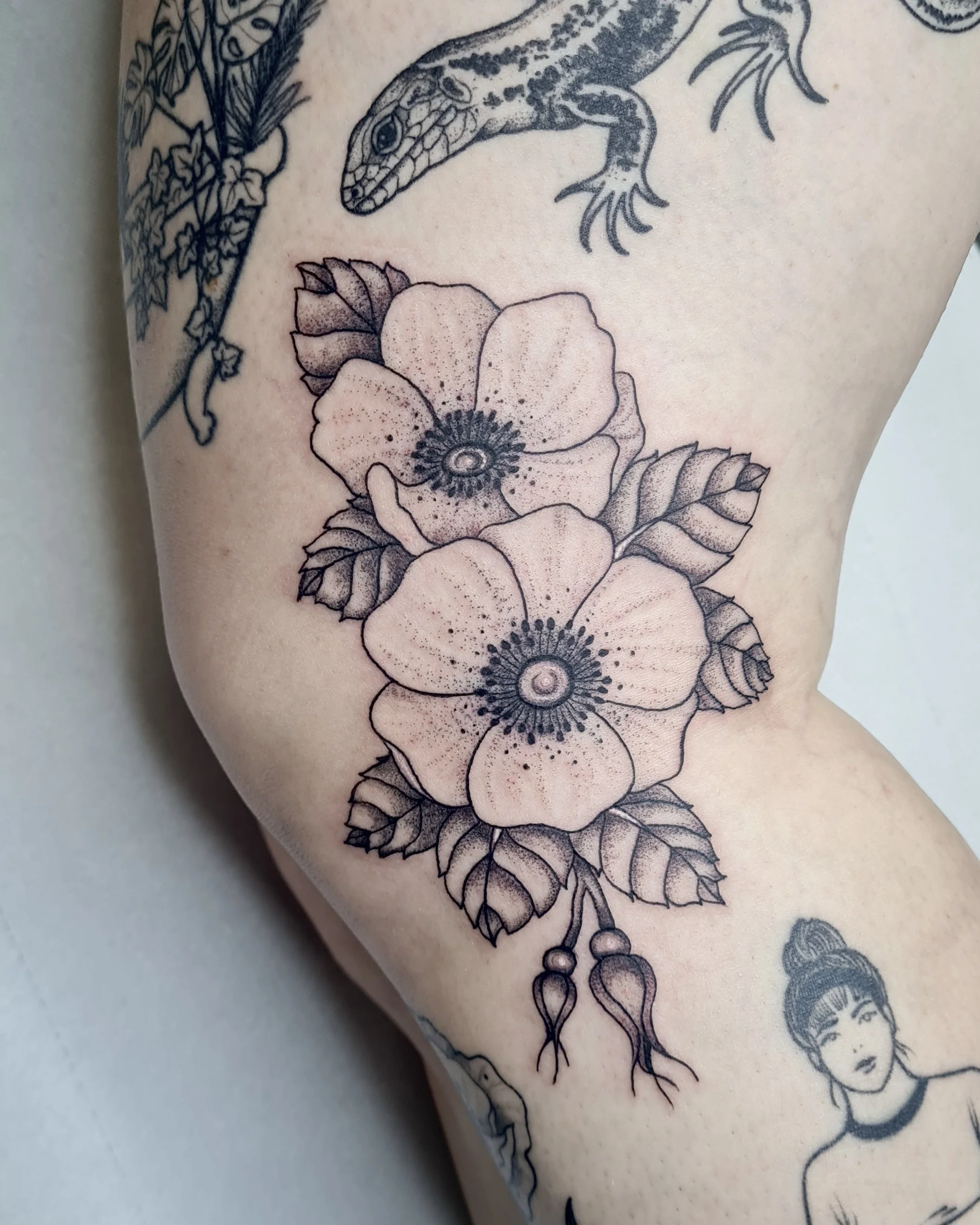 Buschrosen · Botanisches Illustratives Blackwork Tattoo · The Art of Judy · Frankfurt am Main