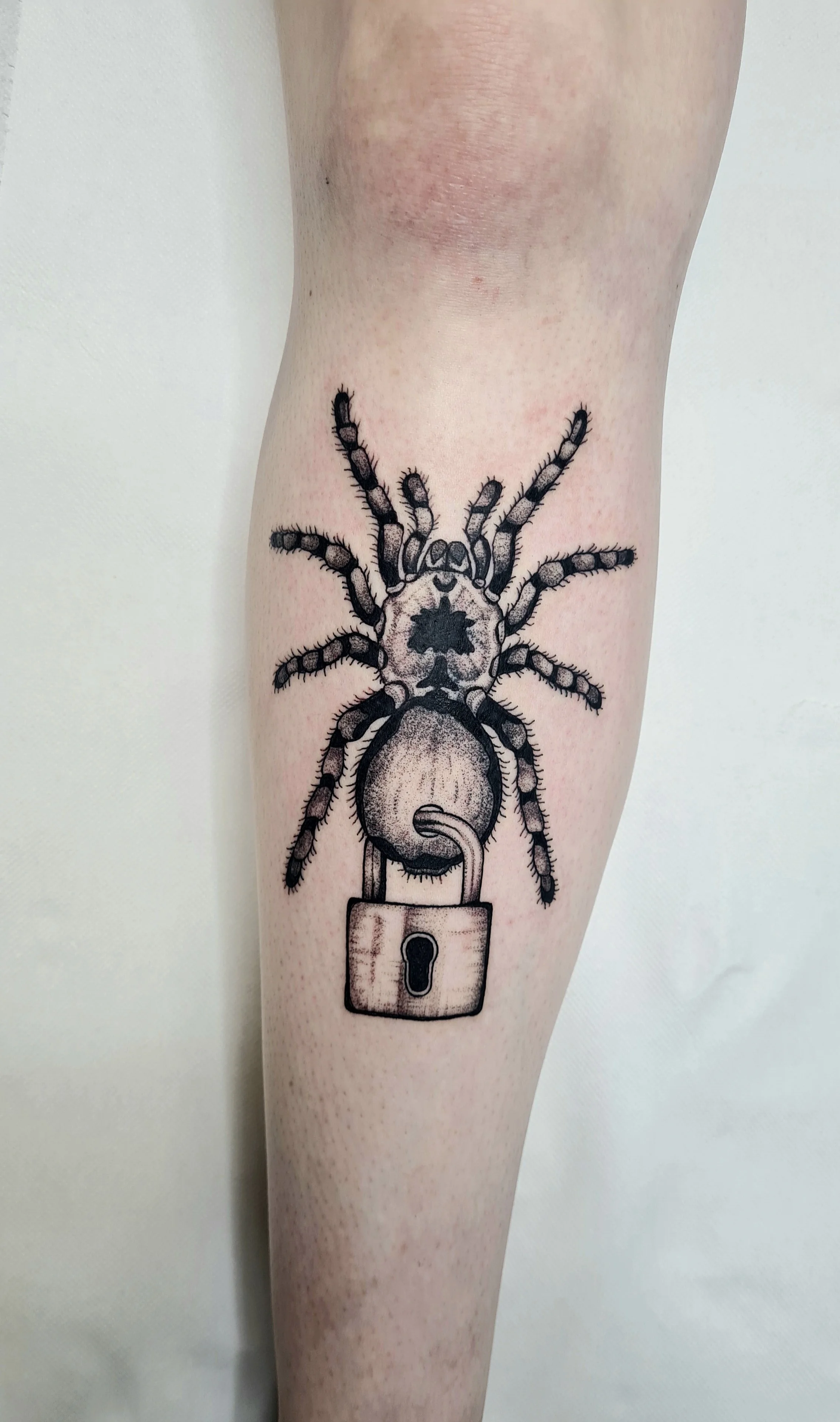 Spinne mit Vorhängeschloss · Surreales Illustratives Blackwork Tattoo · The Art of Judy · Frankfurt am Main