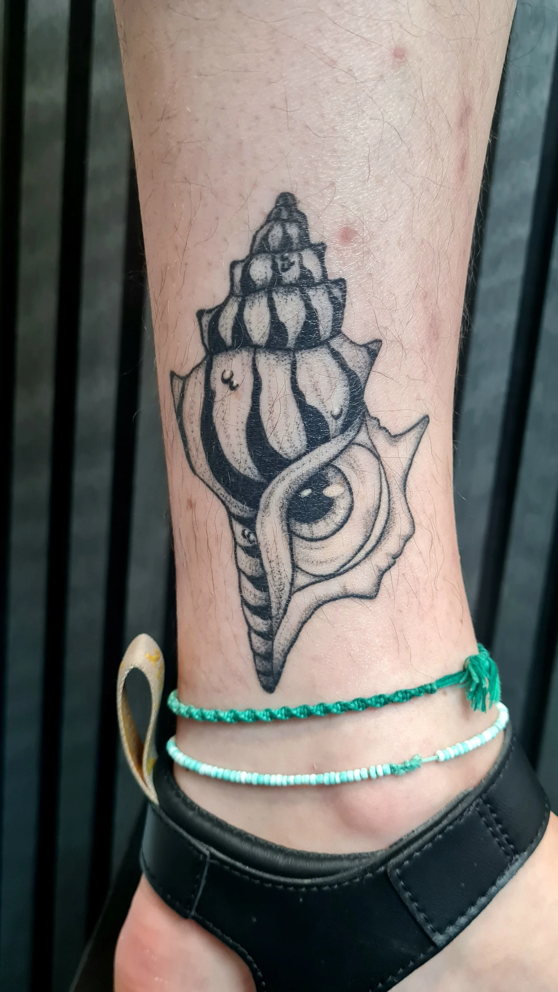 Augmuschel · Muschel mit Auge · Surreal · Verheiltes Illustratives Blackwork Tattoo · Healed Work · Signature Piece · The Art of Judy · Frankfurt am Main