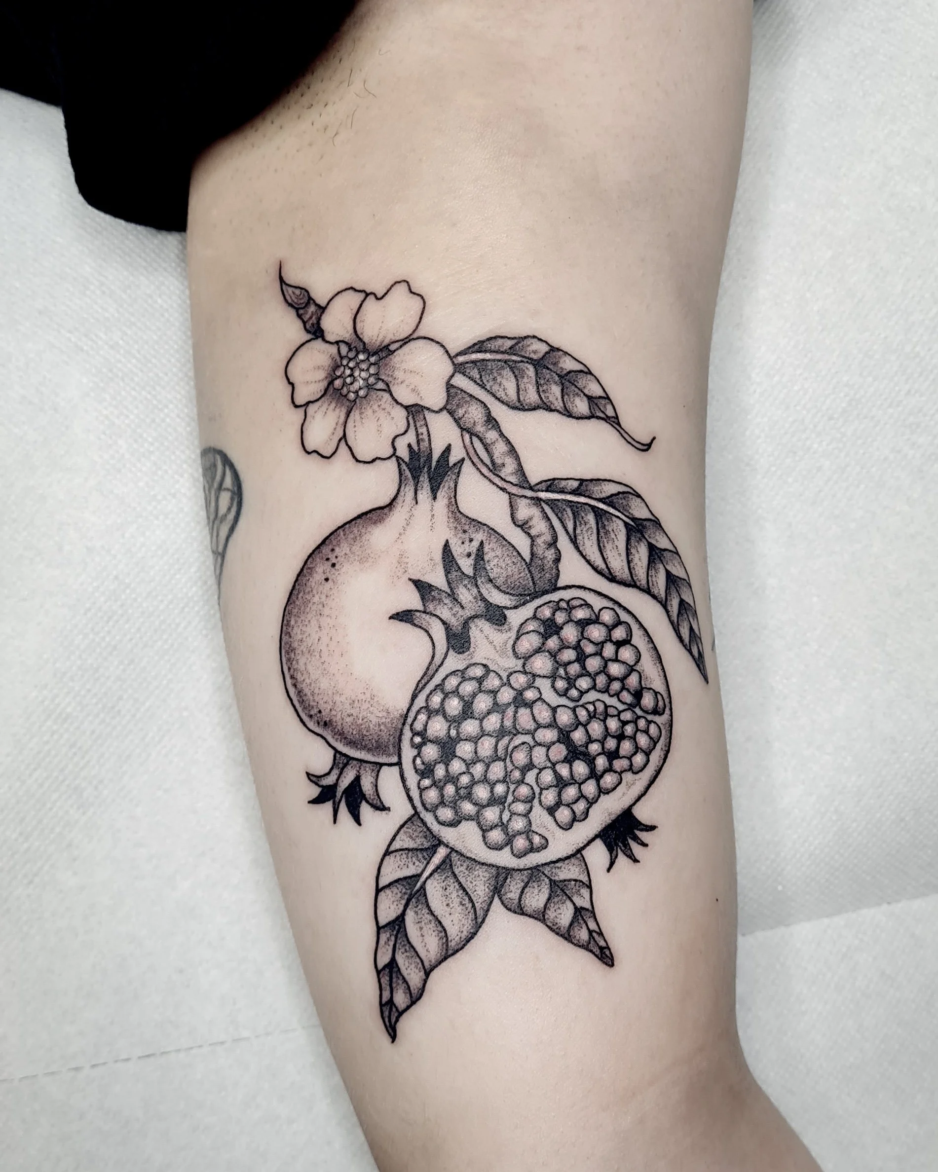 Granatapfel · Botanisches Illustratives Blackwork Tattoo · The Art of Judy · Frankfurt am Main