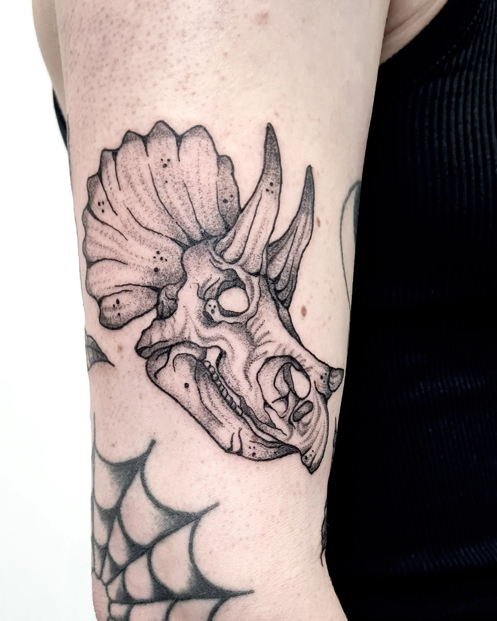 Triceratops Schädel, Skelett · Dark Illustratives Blackwork Tattoo · The Art of Judy · Frankfurt am Main