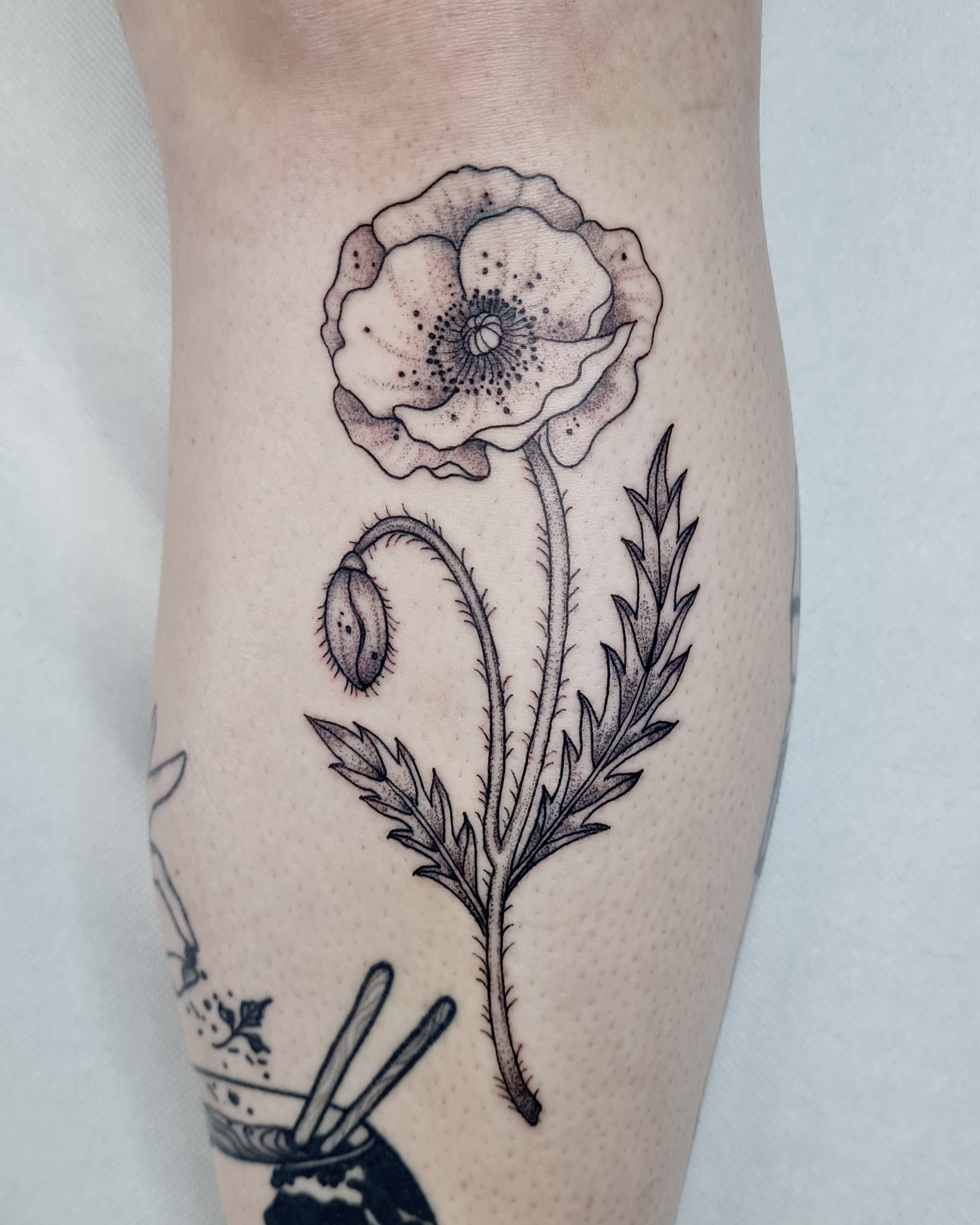 Mohnblume · Botanisches Illustratives Blackwork Tattoo · The Art of Judy · Frankfurt am Main