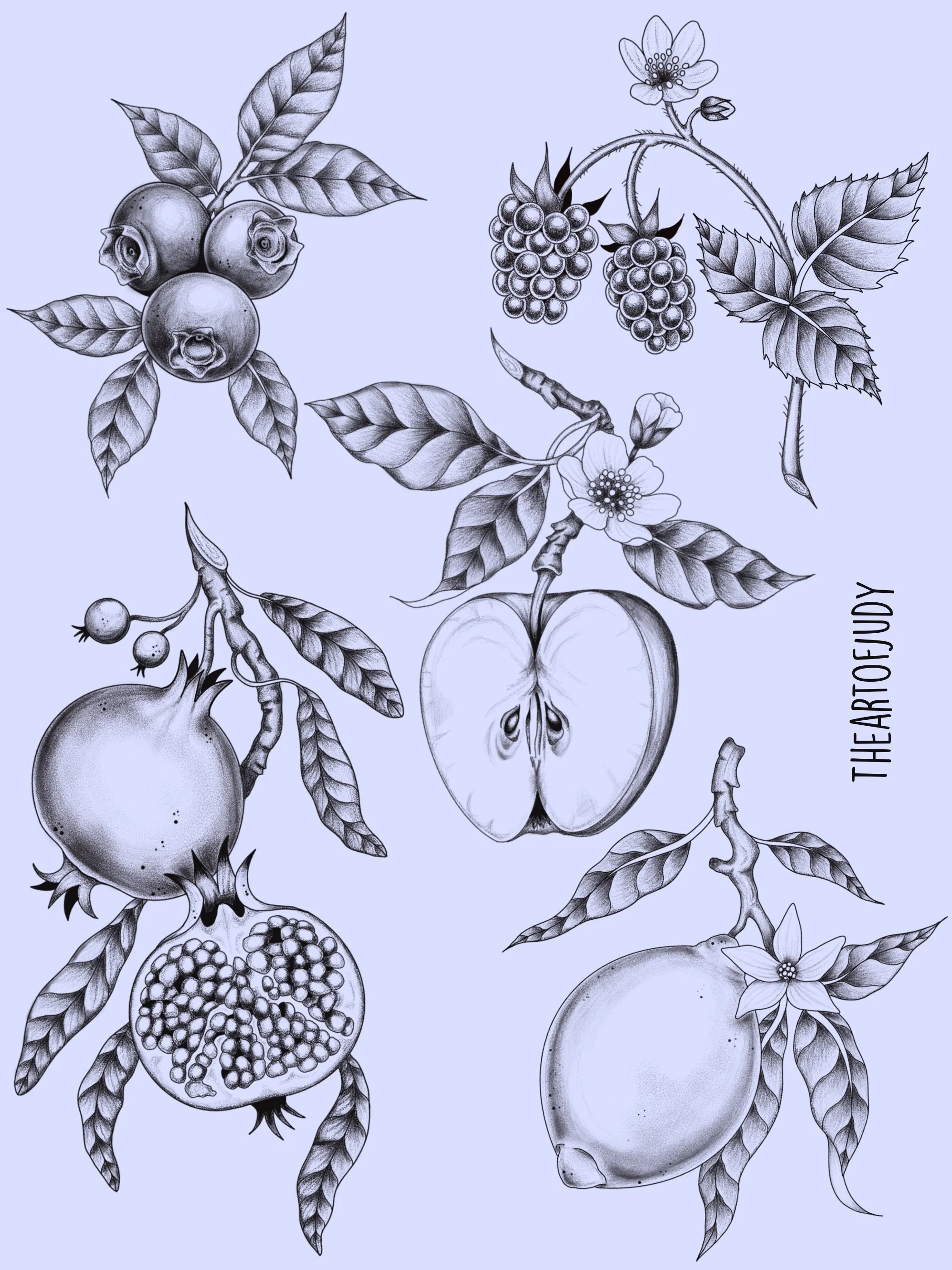 Granatapfel · Apfel · Brombeere · Zitrone · Botanisches Wannado Flash Sheet · Illustratives Blackwork Tattoo · The Art of Judy · Frankfurt am Main
