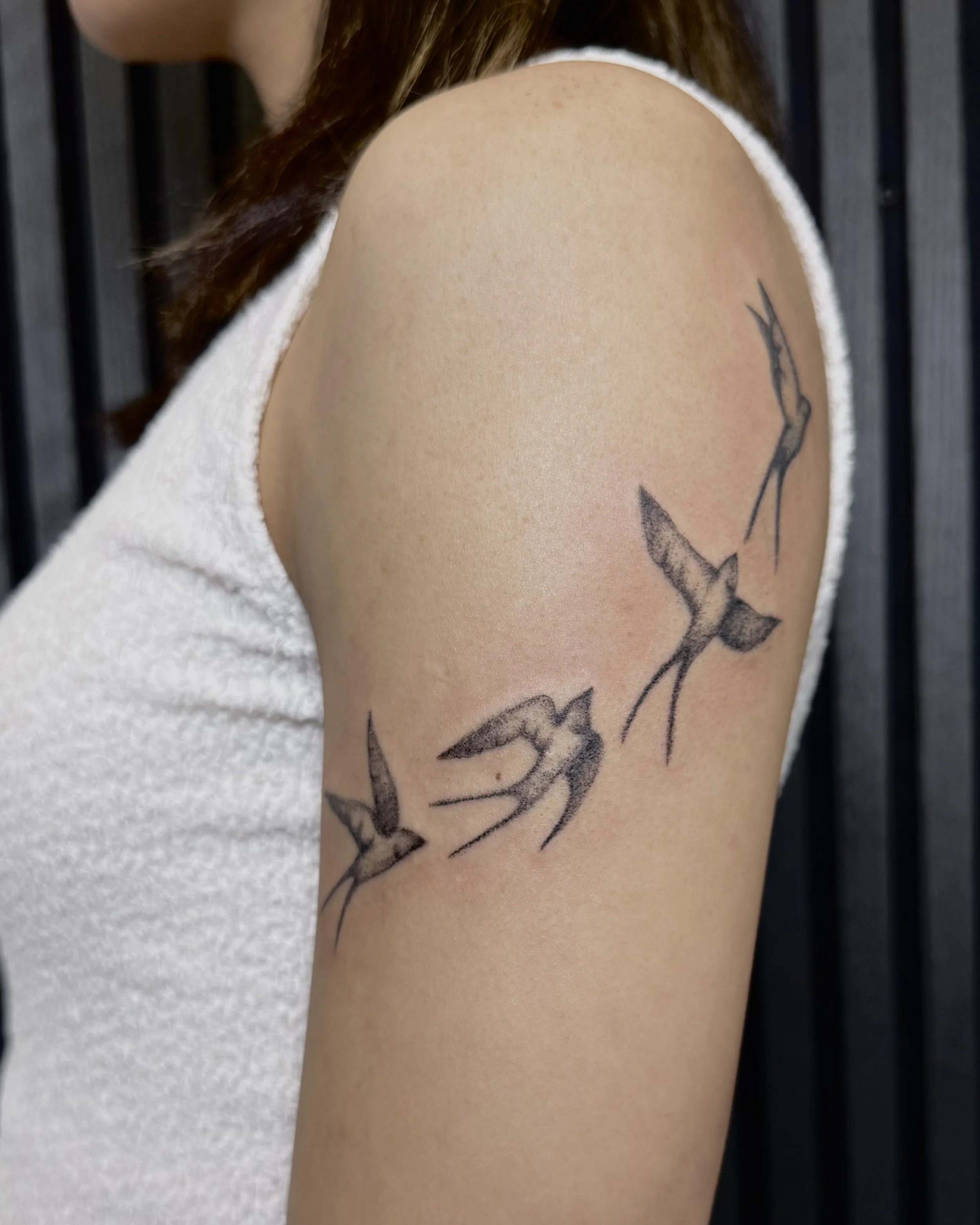 Vier Schwalben · Stripped Illustratives Blackwork Tattoo · The Art of Judy · Frankfurt am Main