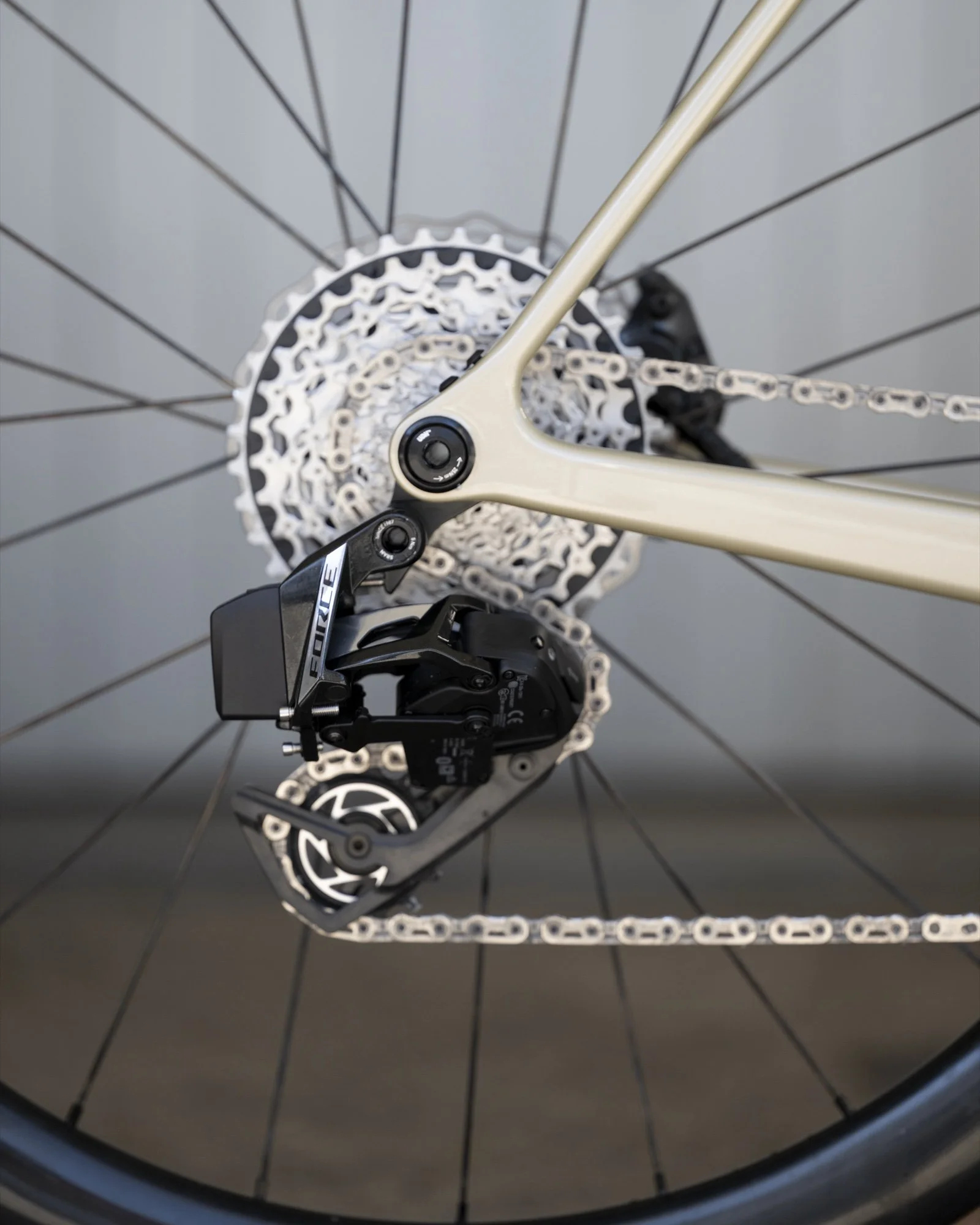 DSC_5649.jpg