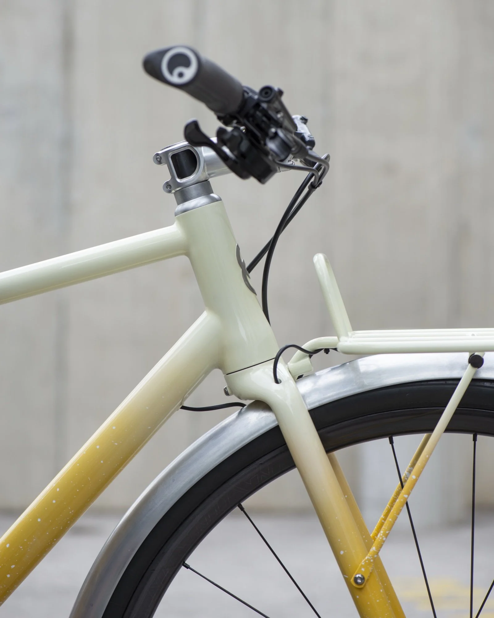 EGLI_BIKE_5 2.jpg