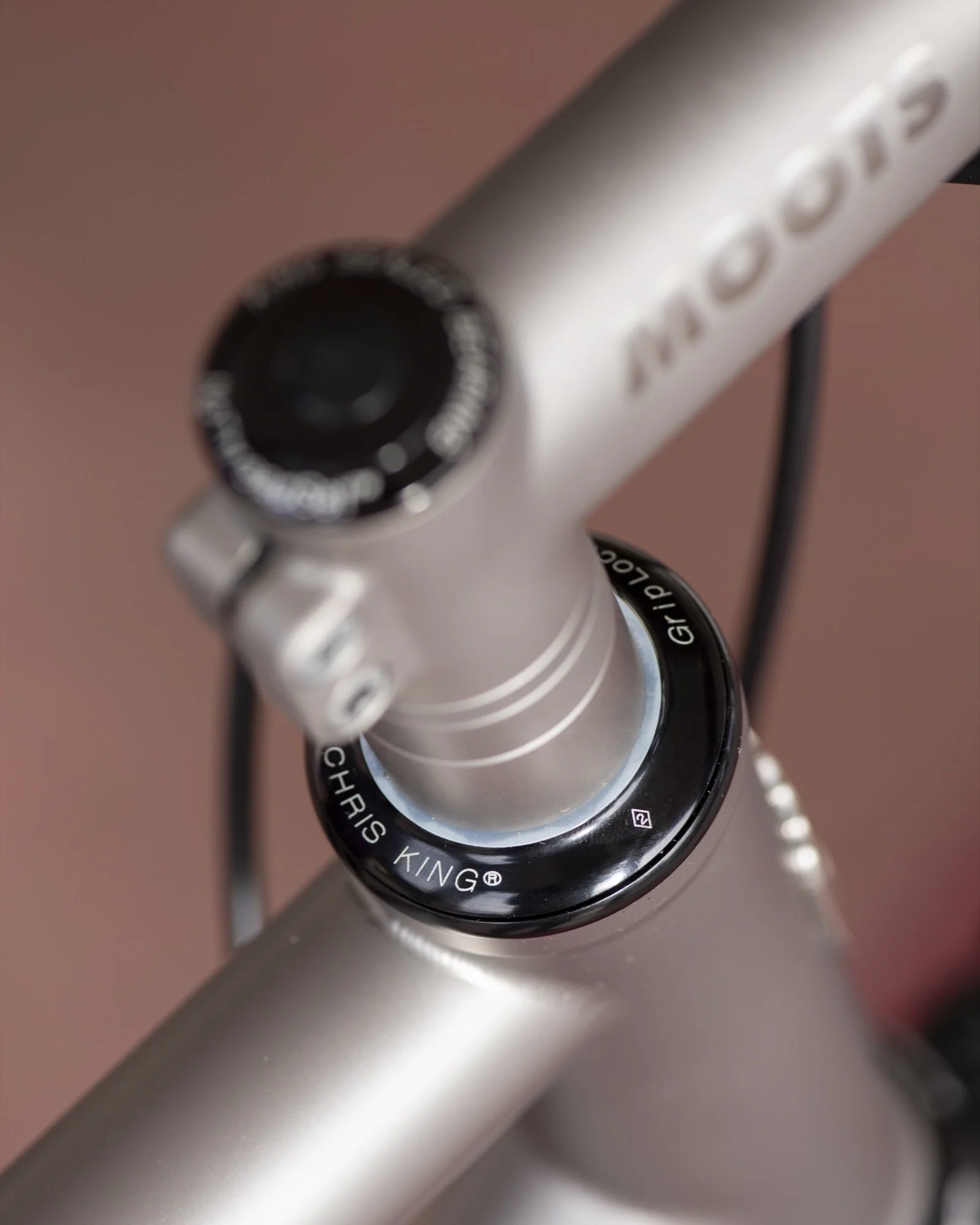 MOOTS_13.jpg