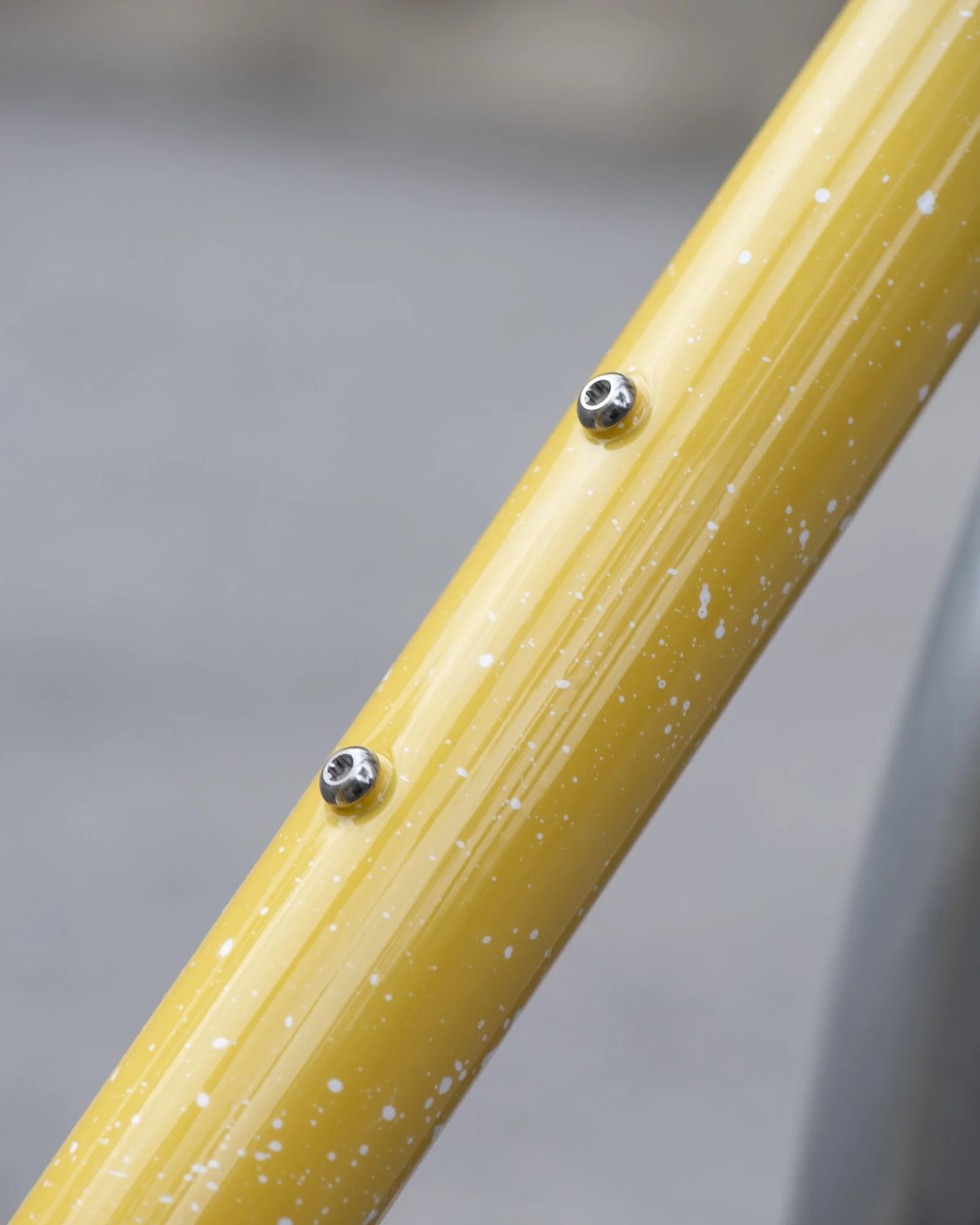 EGLI_BIKE_10 2.jpg
