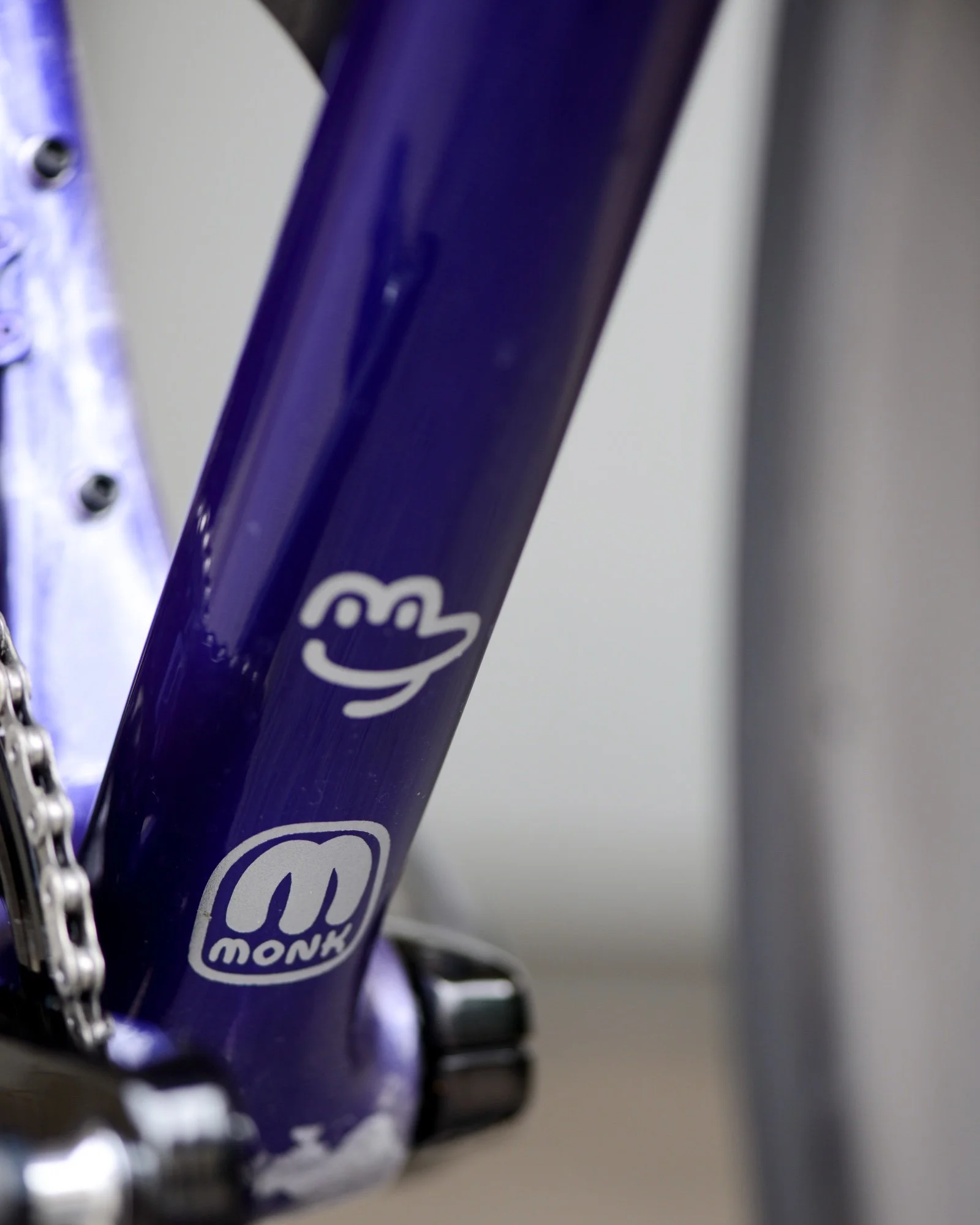 DSC_5558.jpg