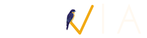 Orvia