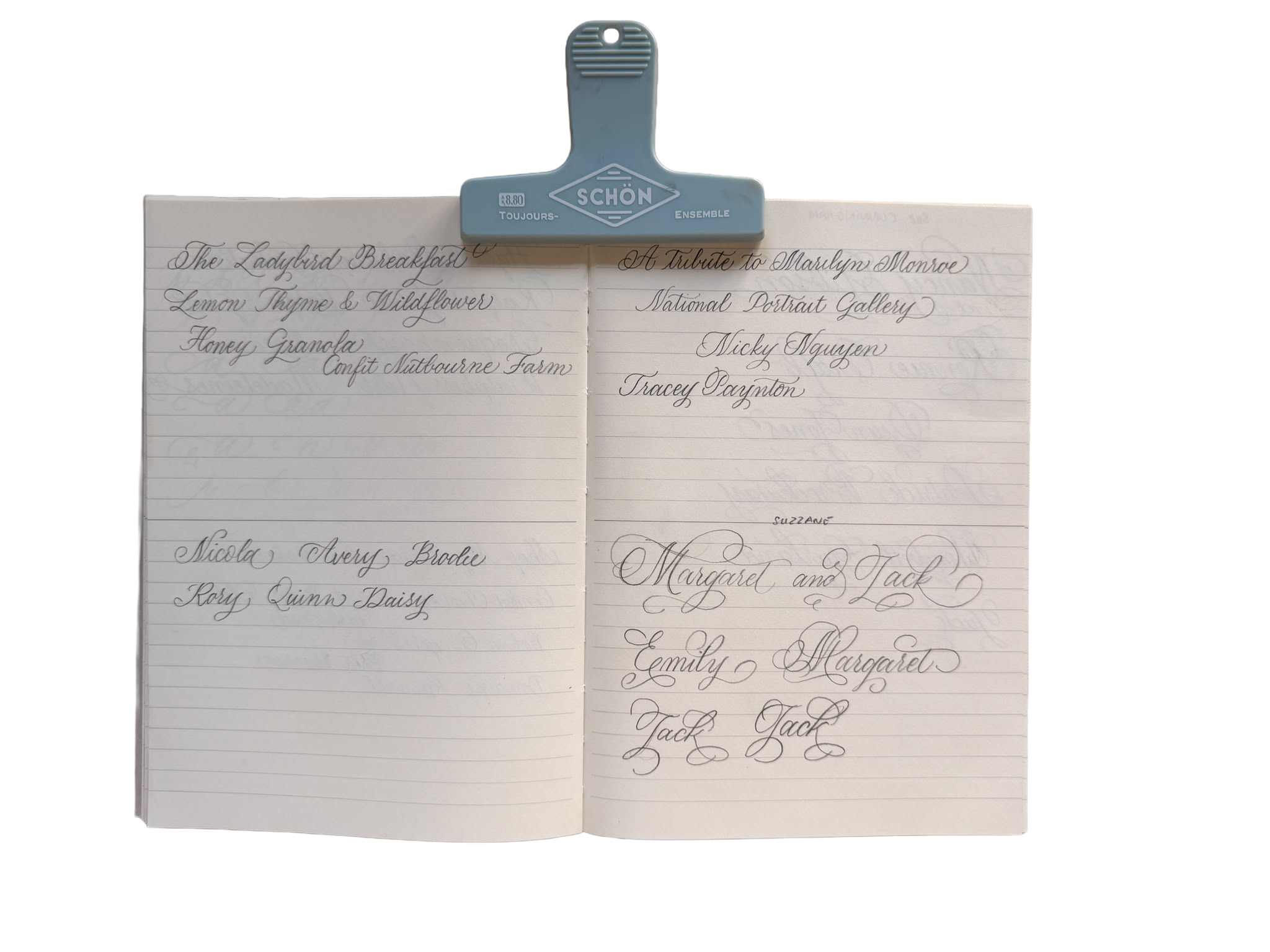An open notebook with elegant cursive writing on lined pages, held flat by a blue binder clip at the top.
