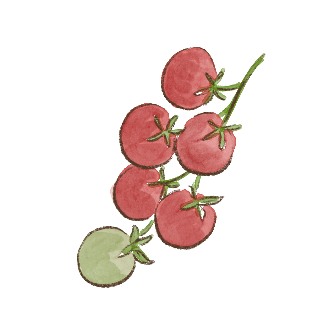 Watercolor illustration of a cluster of ripe red tomatoes on the vine with one unripe green tomato at the bottom.