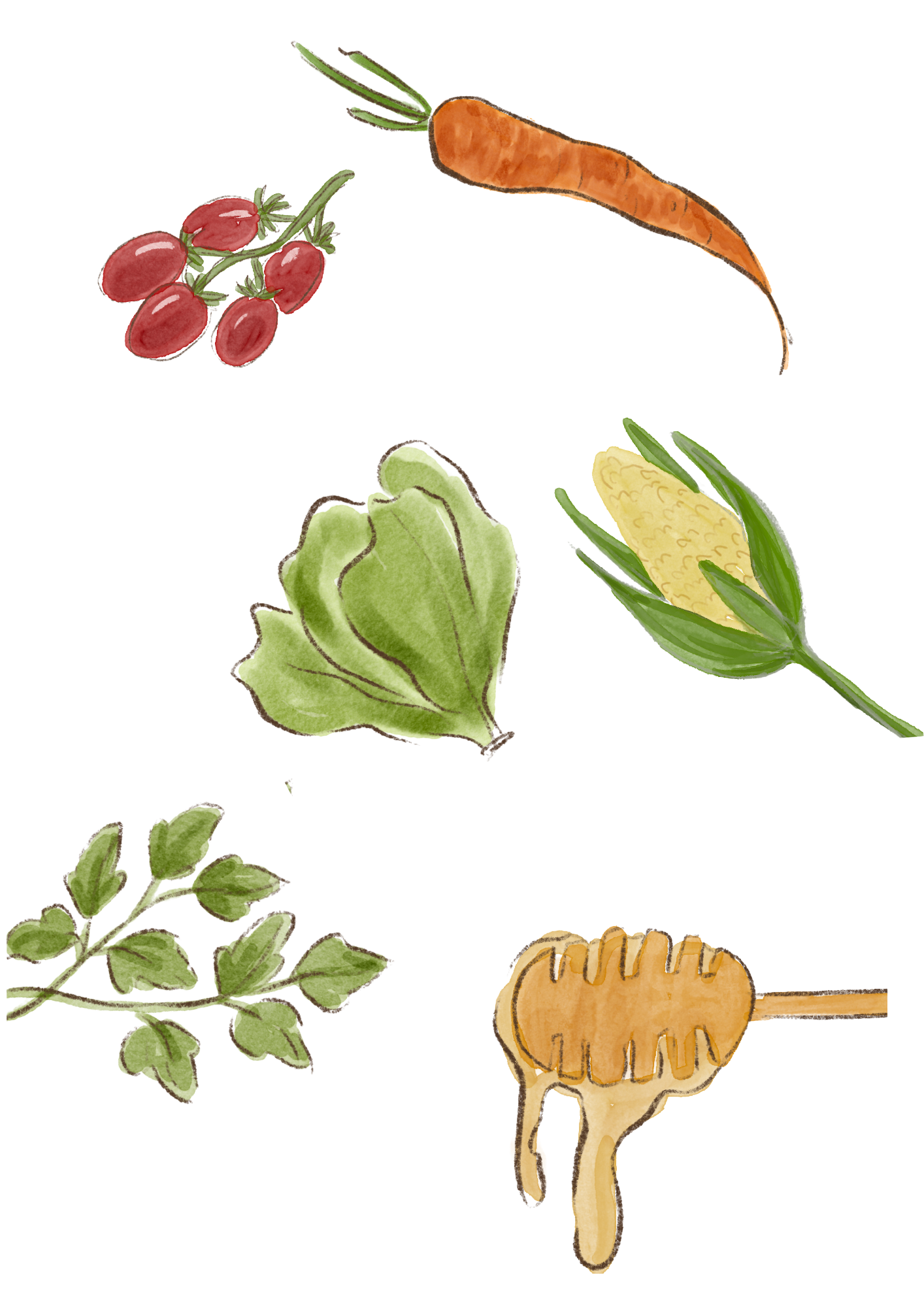 Watercolor illustrations of various fresh vegetables, including cherry tomatoes, a carrot, lettuce, corn on the cob, and sprigs of herbs.