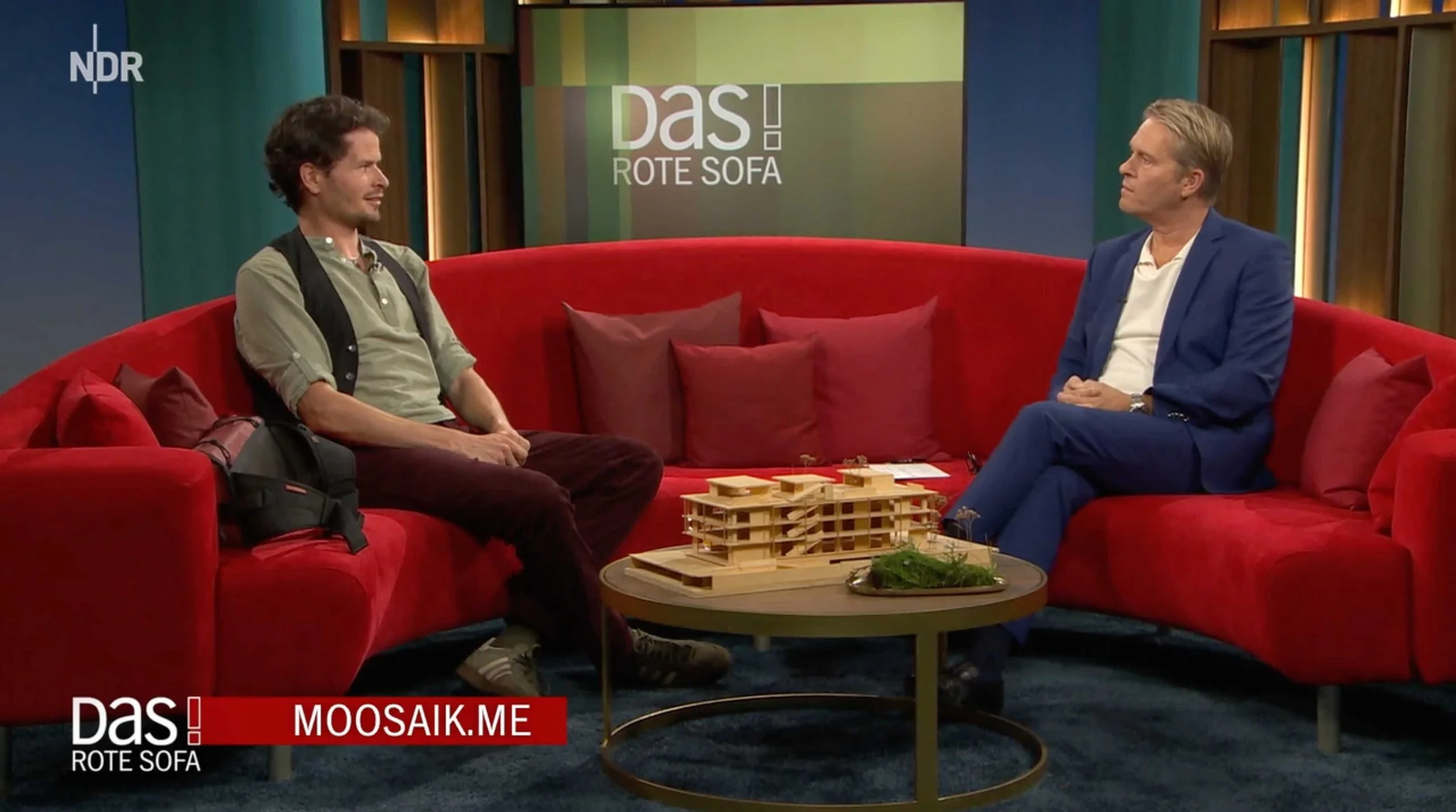 Das Moosaik im TV
