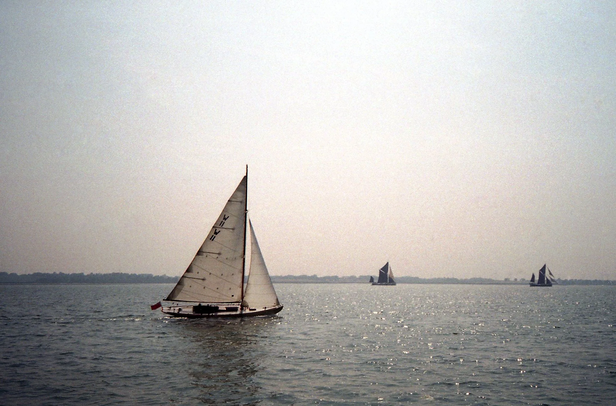 Several sailboats with white sails on a calm body of water during sunset, with a hazy skyline in the background.