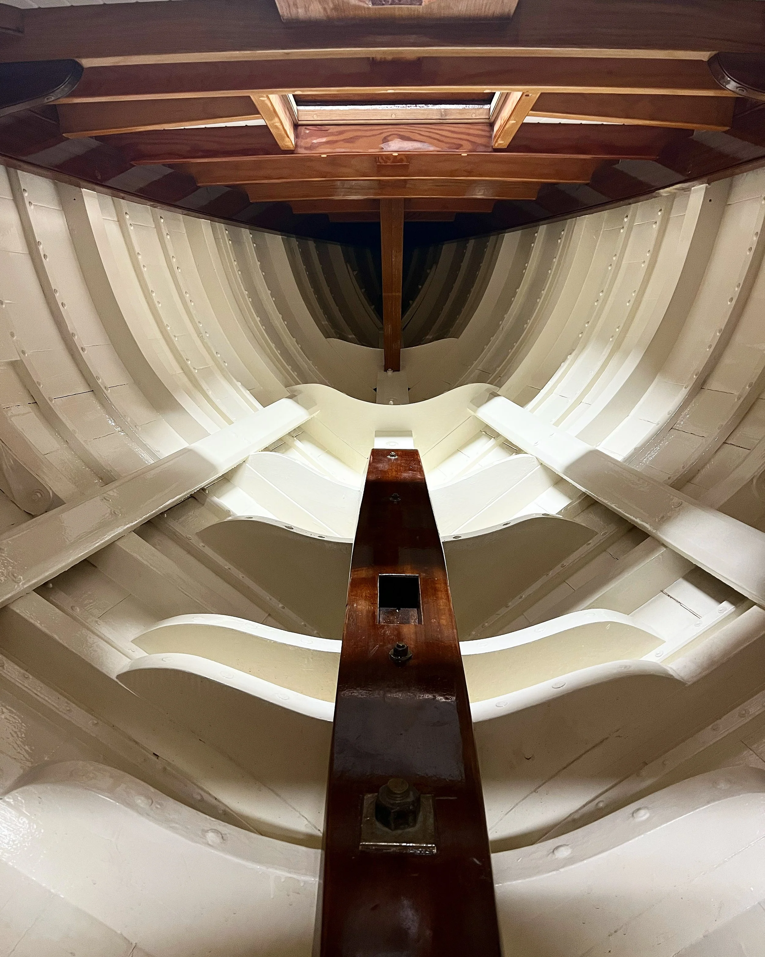 A661D463-66E3-43B5-8660-EBE64021B29C.JPG