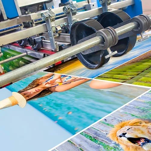 Printing Consumables for Commercial Offset, Letterpress and Dry Offset, Flexography and Rotogravure.