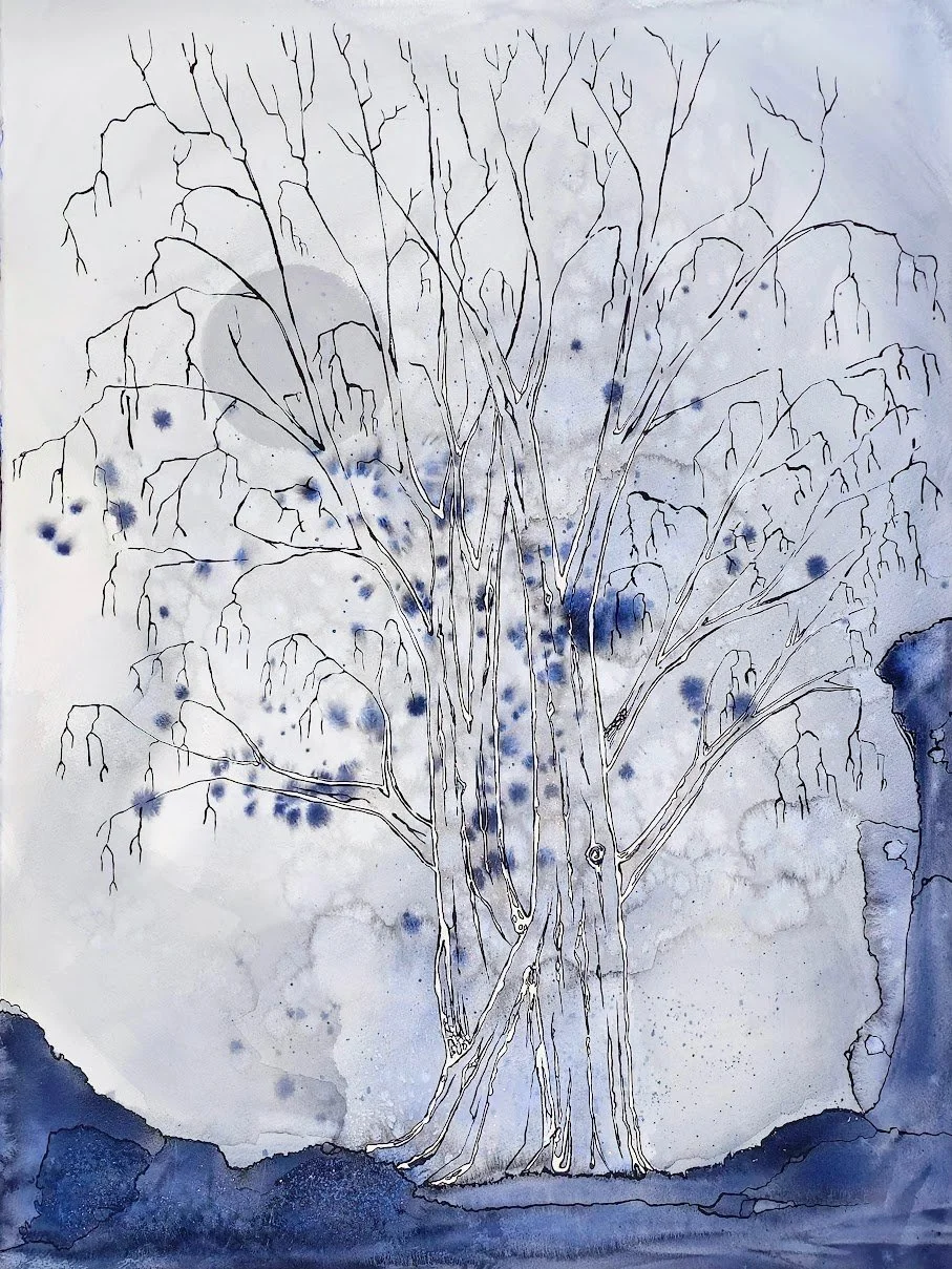 Wintery Silver Maple · Watercolor and ink on paper · 24 × 36 in · 2024 · Available