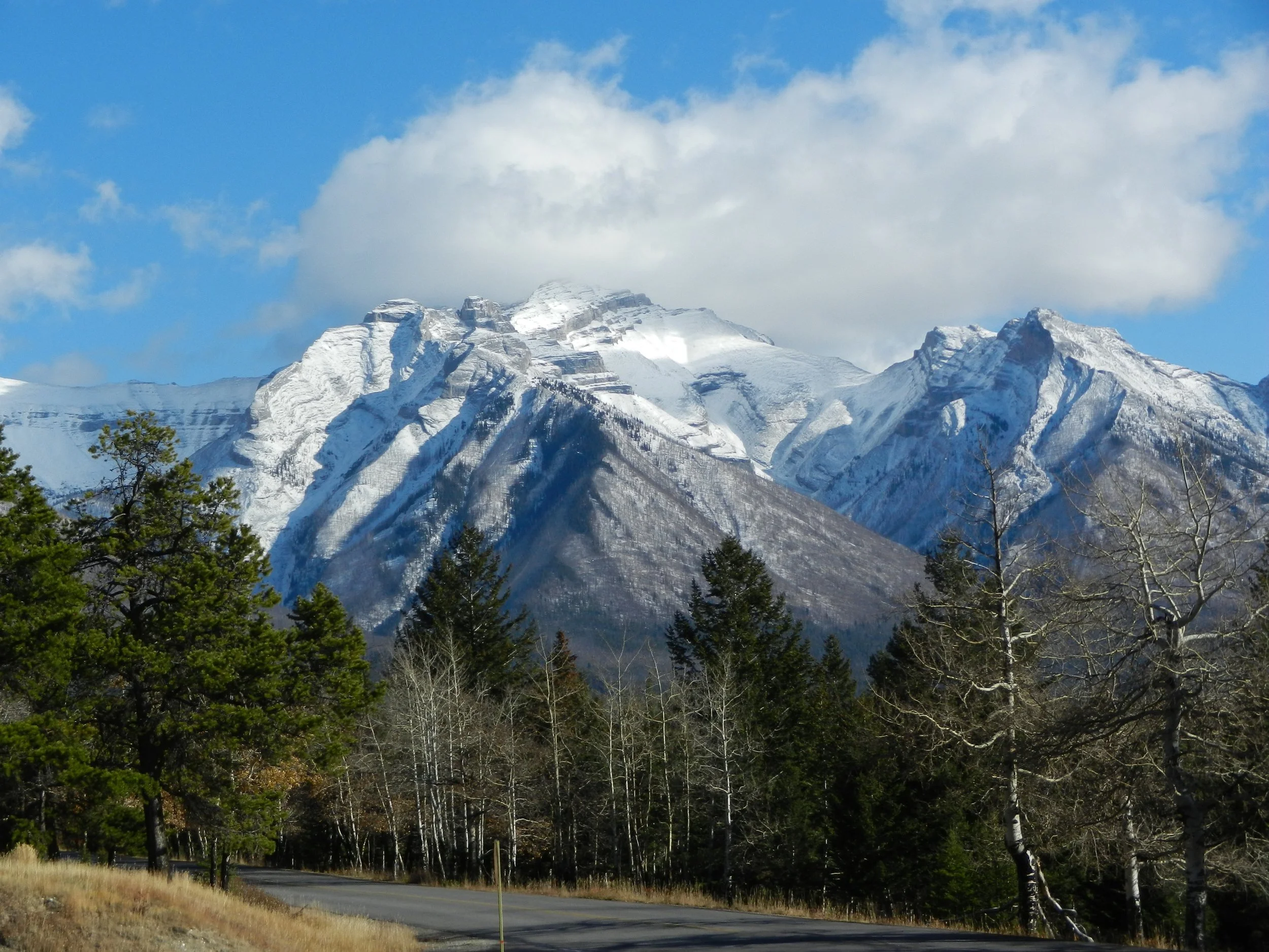 DSCN3438.jpg