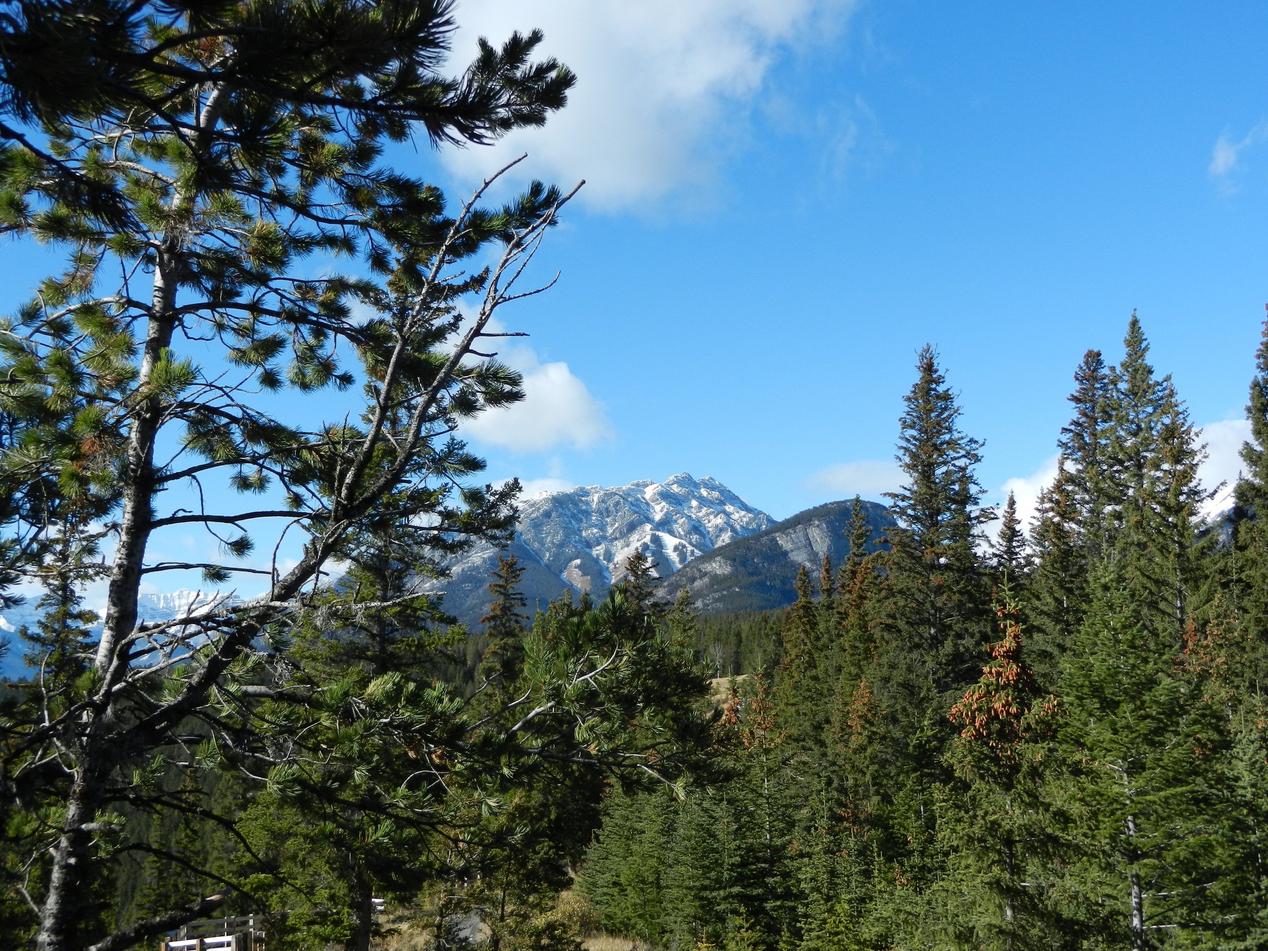 DSCN3423.jpg
