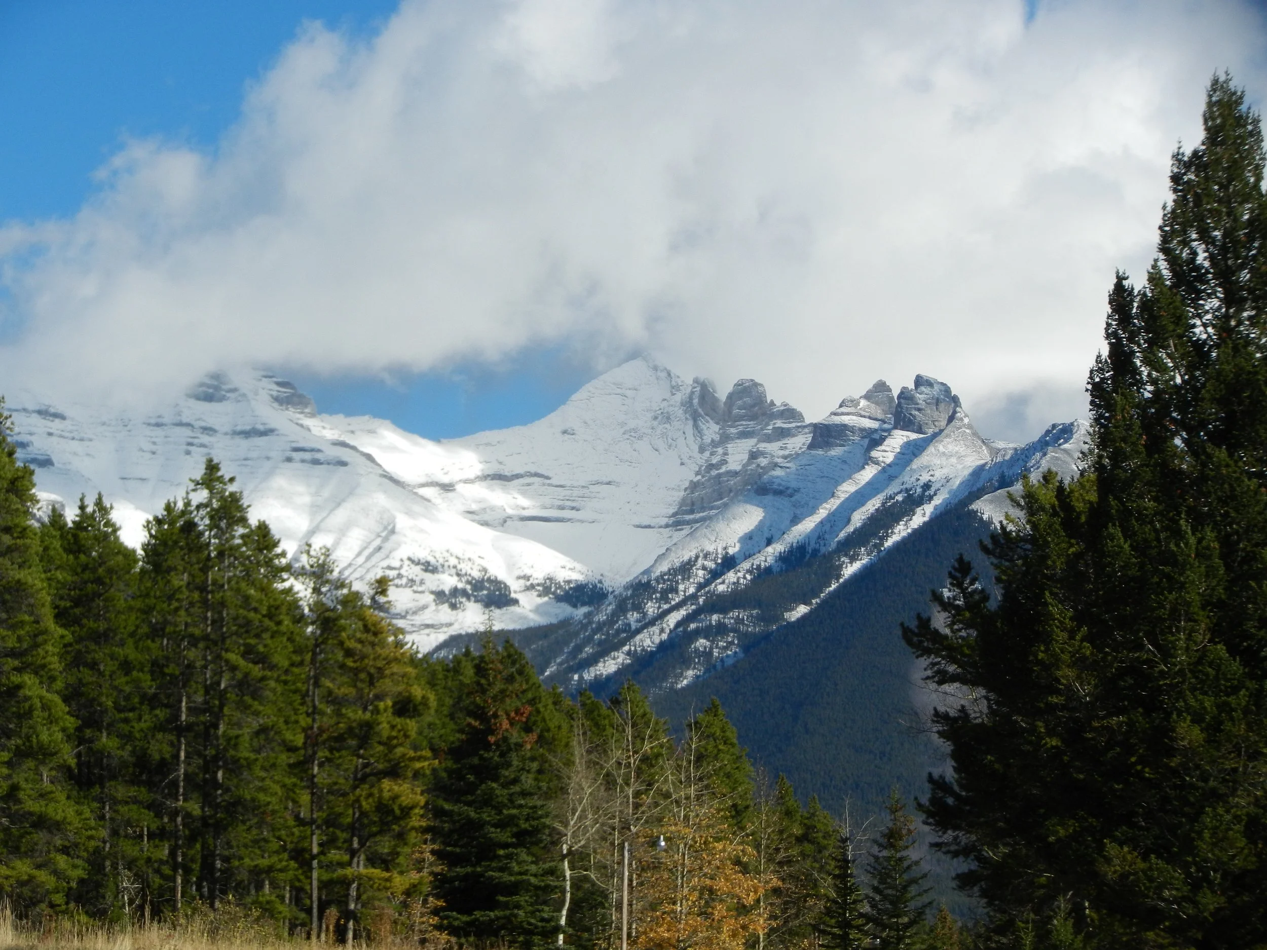 DSCN3443.jpg