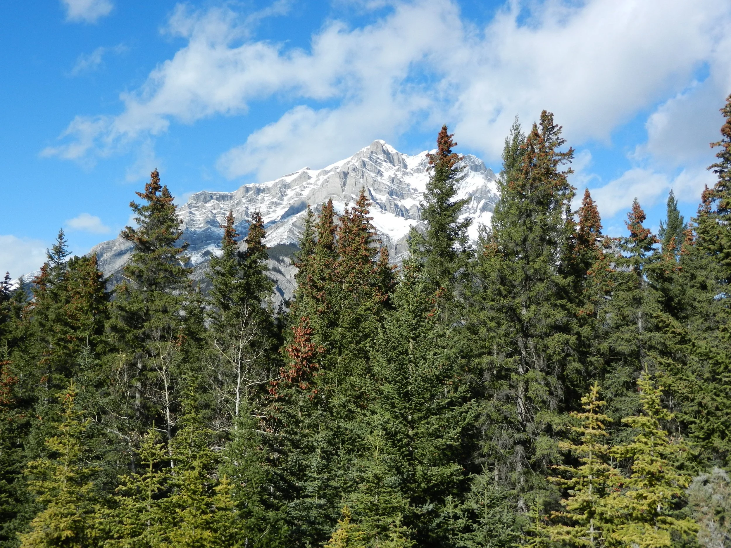 DSCN3421.jpg