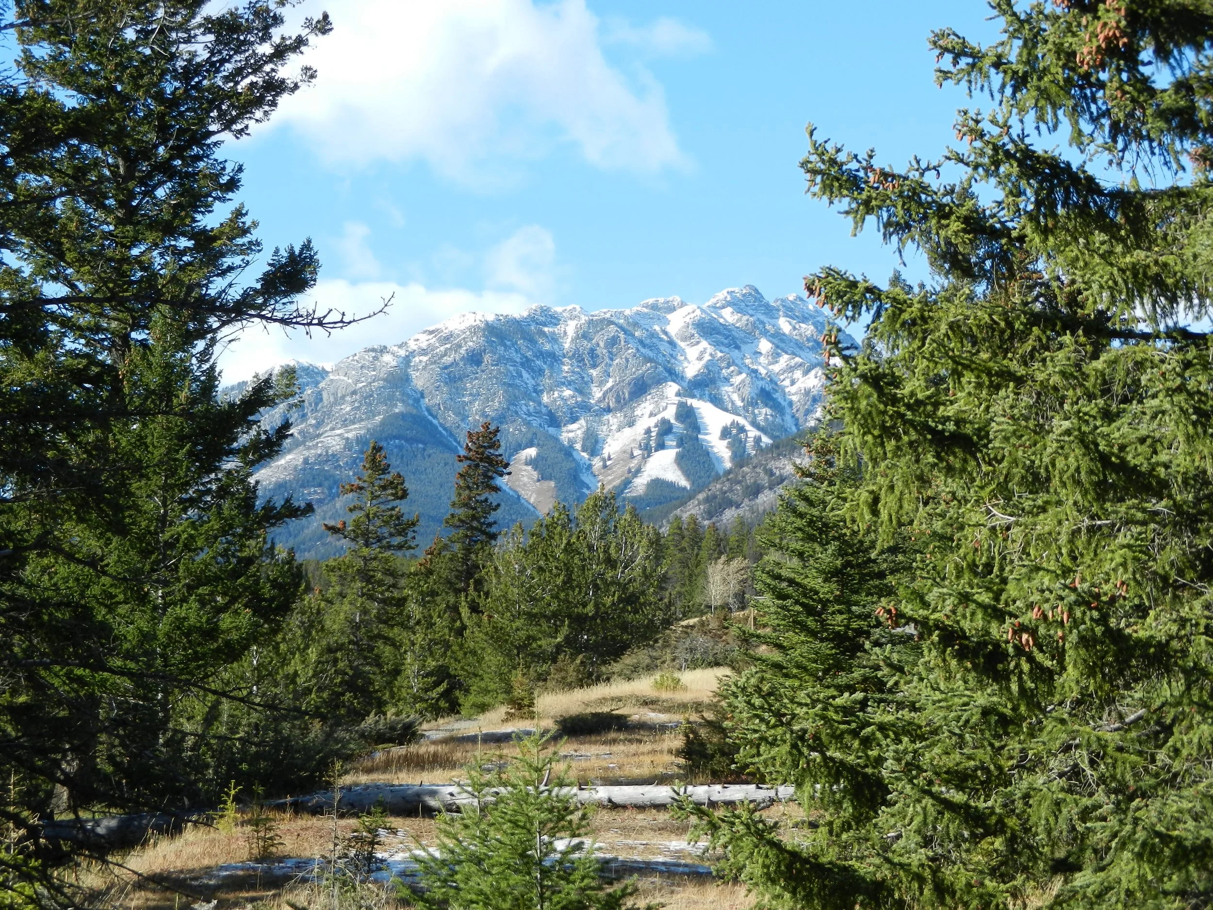 DSCN3426.jpg