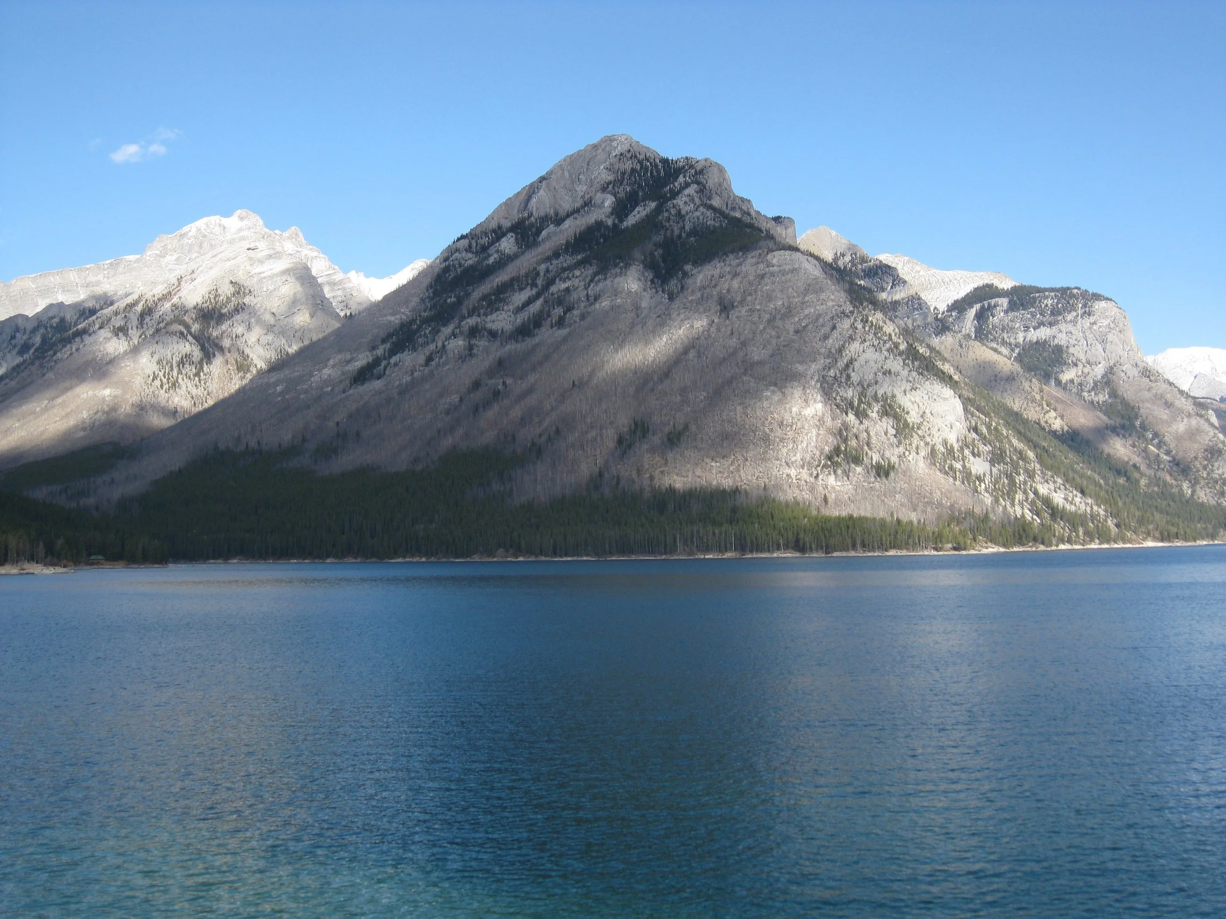 IMG_4516.jpg