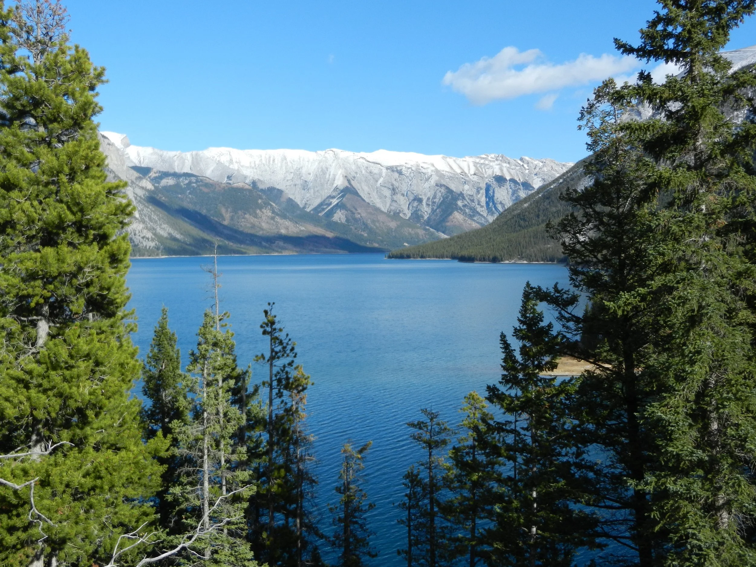 DSCN3541.jpg