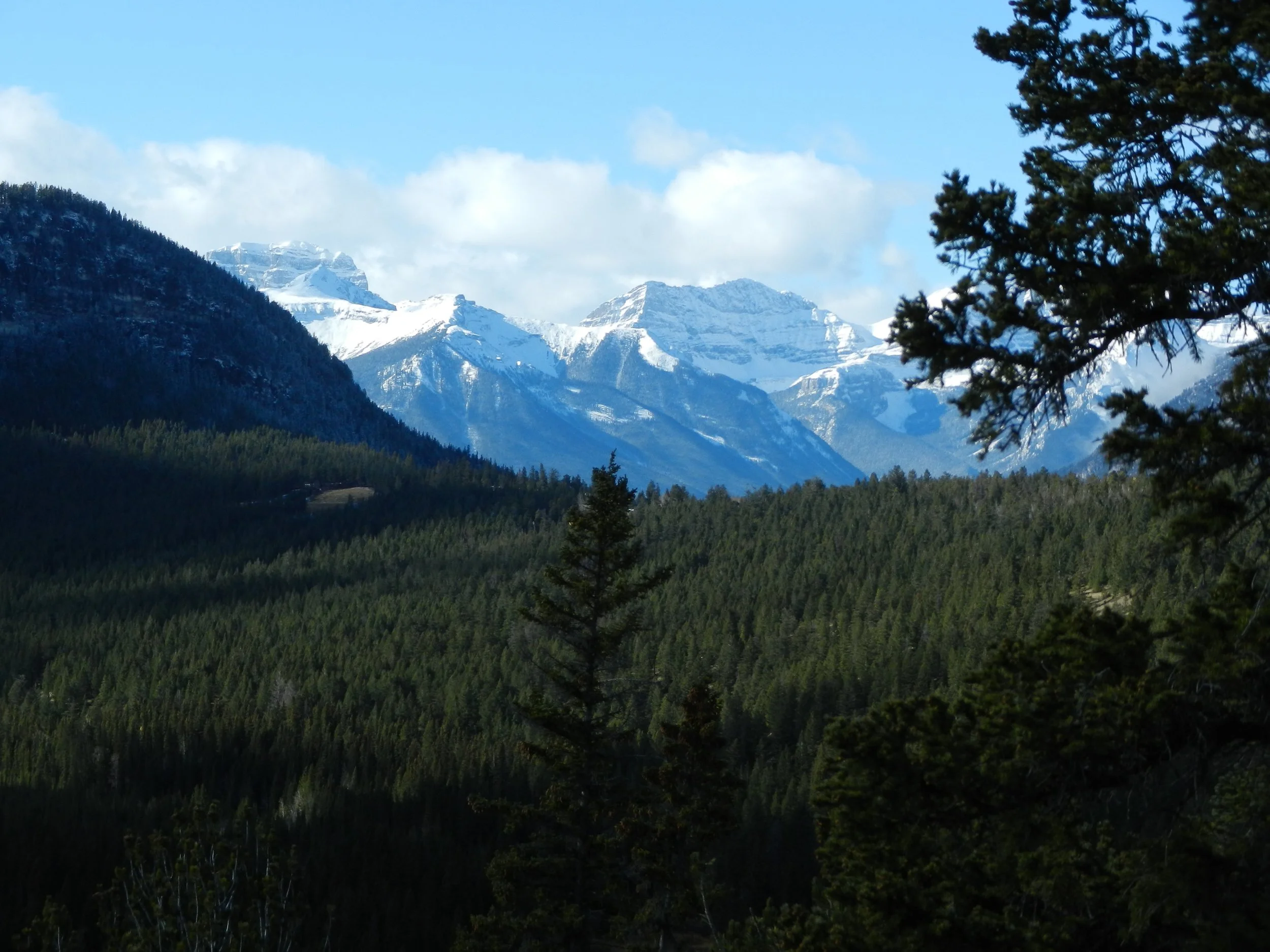 DSCN3404.jpg