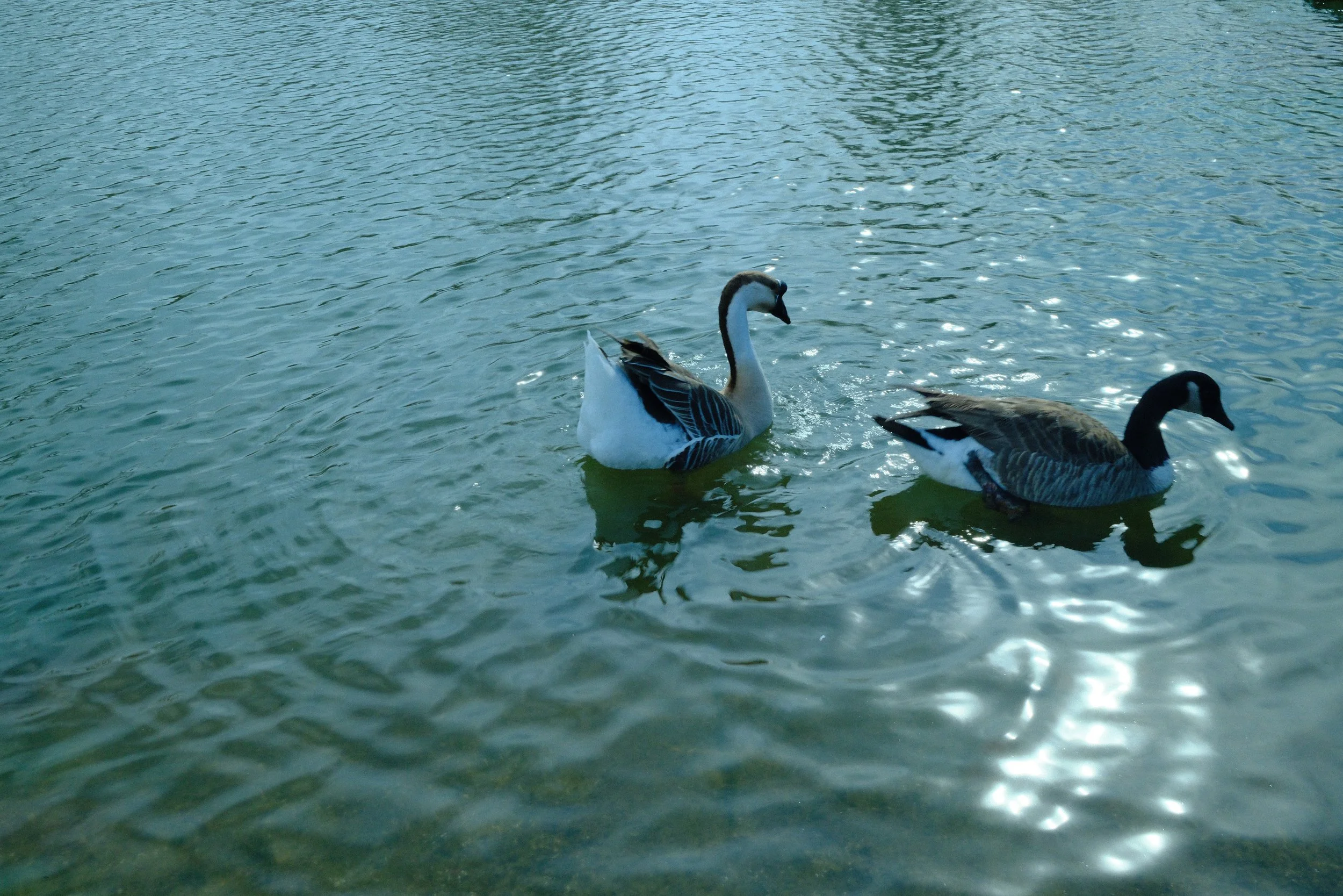 IMG_0044.jpeg
