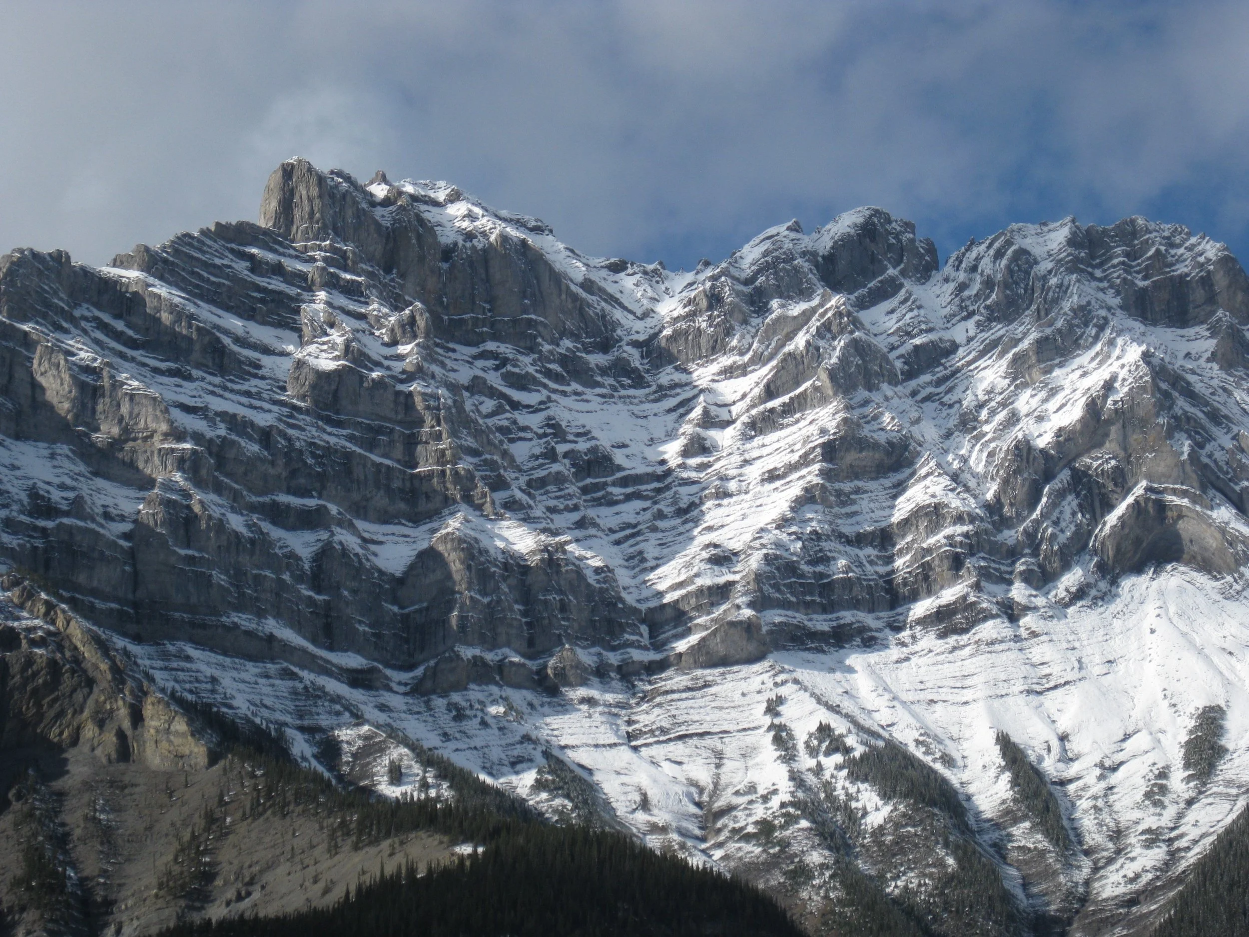 IMG_4615.jpg