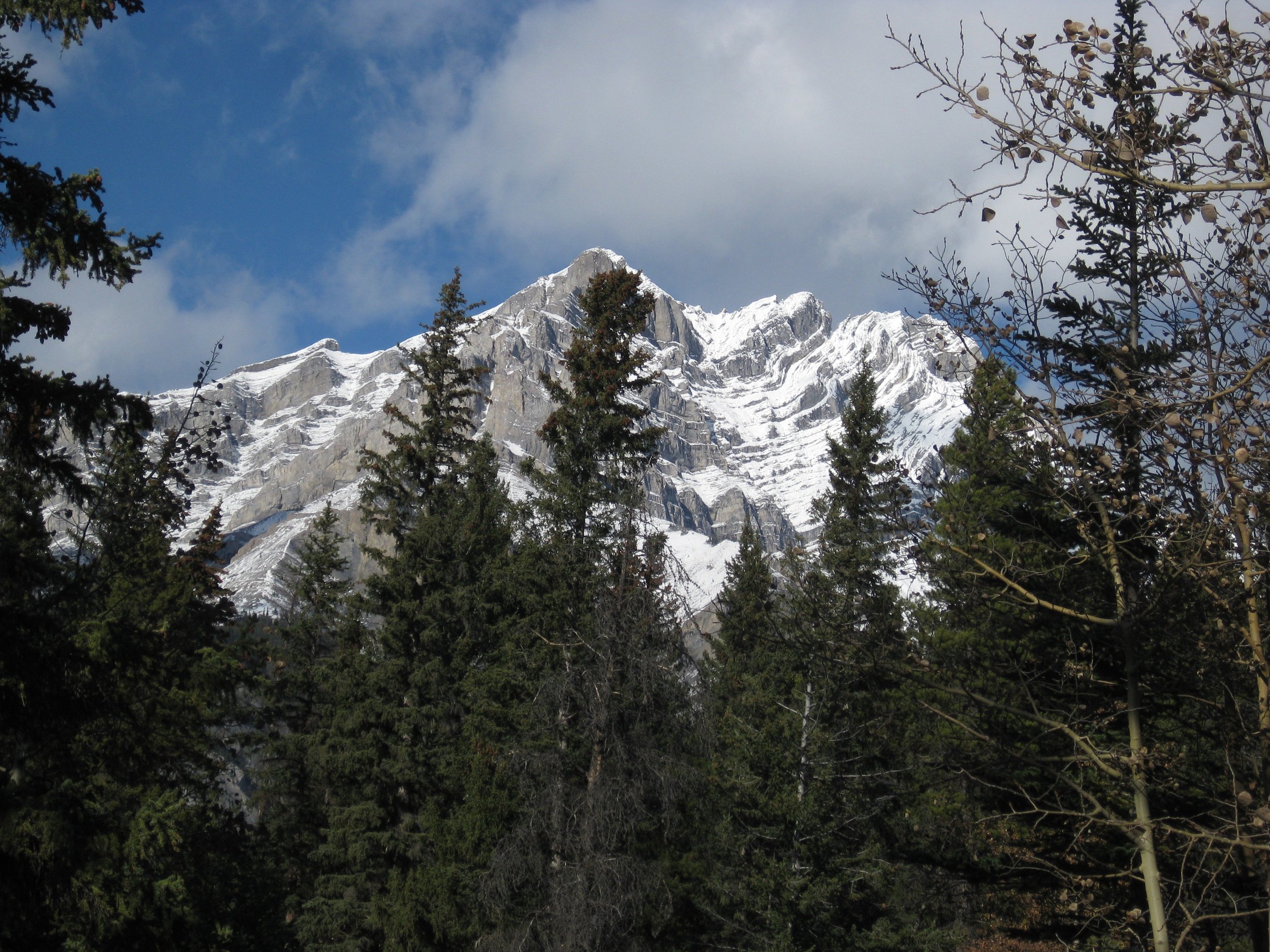 IMG_4423.jpg