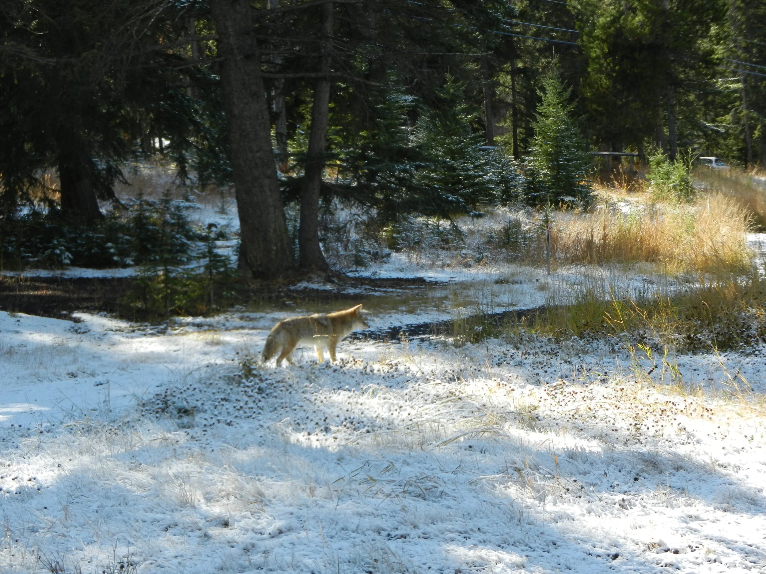 DSCN3445.jpg