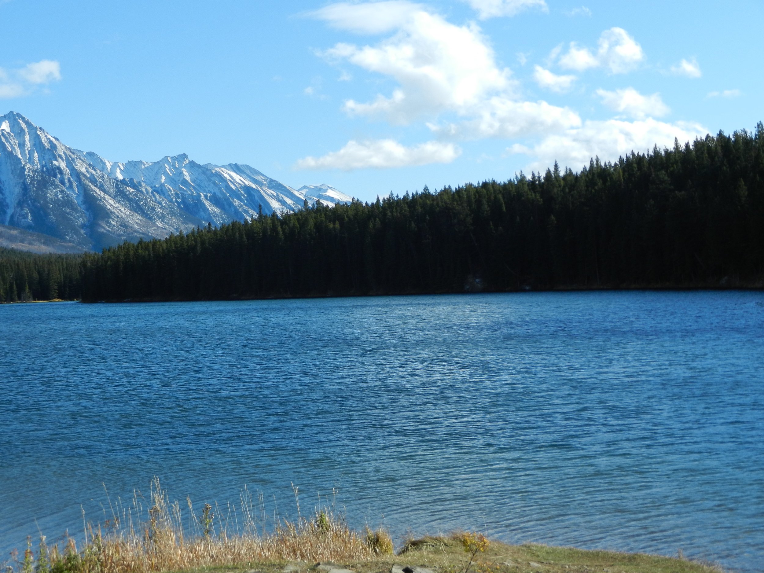 DSCN3552.jpg