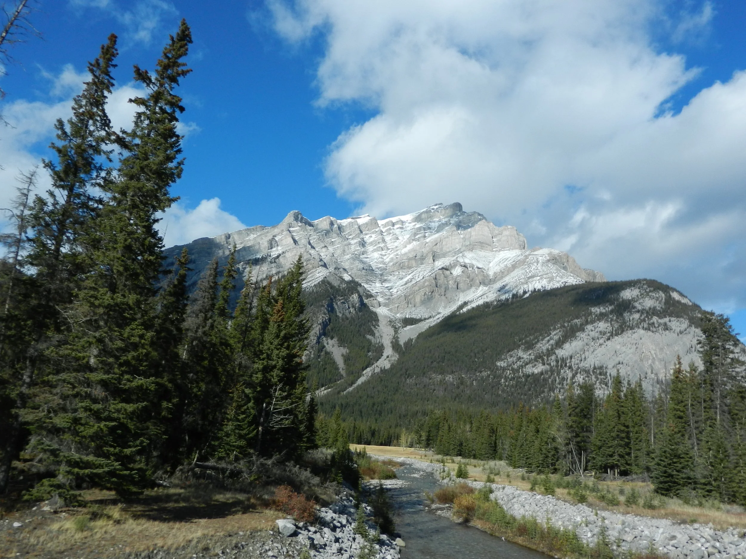 DSCN3596.jpg