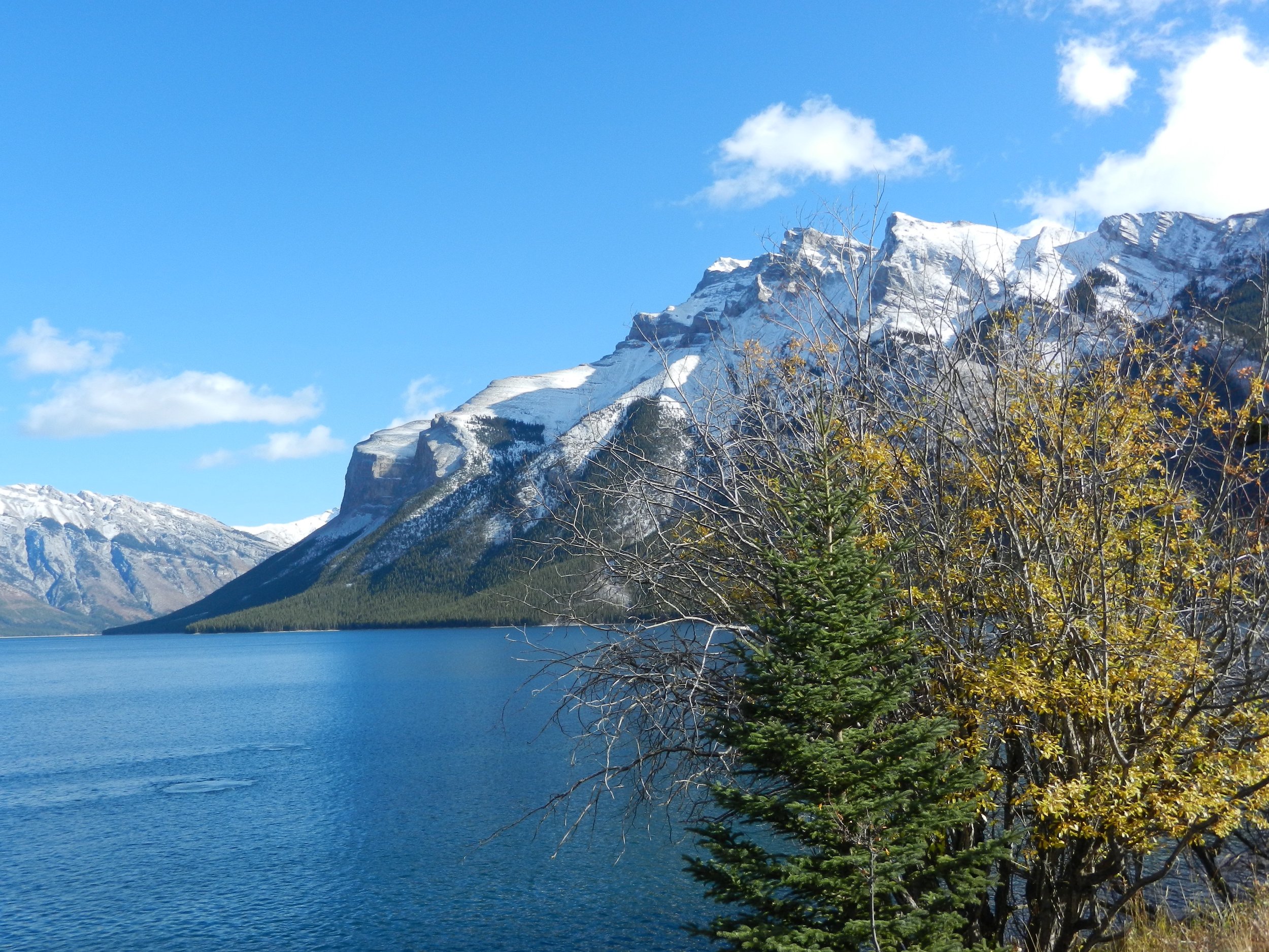 DSCN3496.jpg