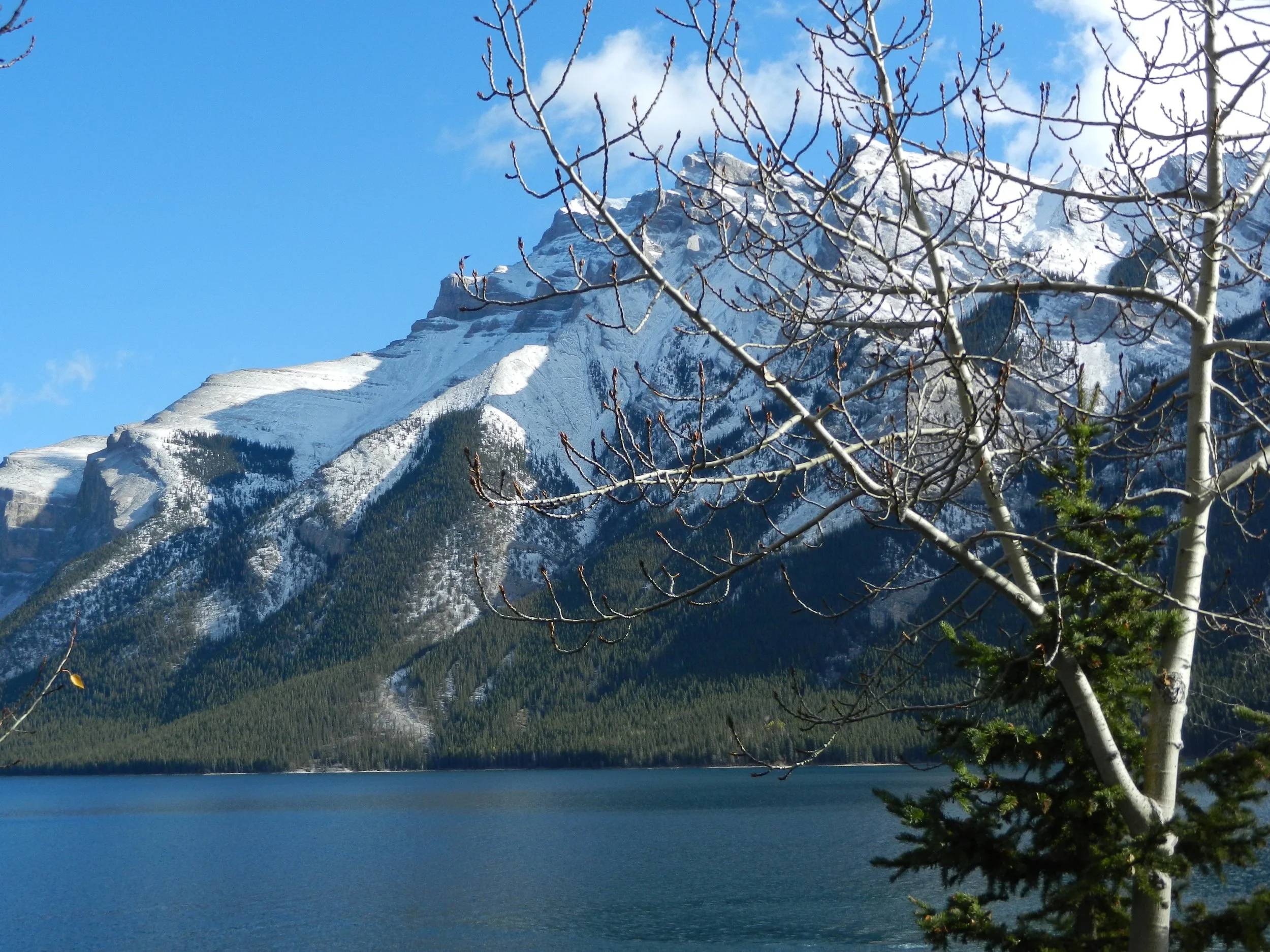 DSCN3504.jpg