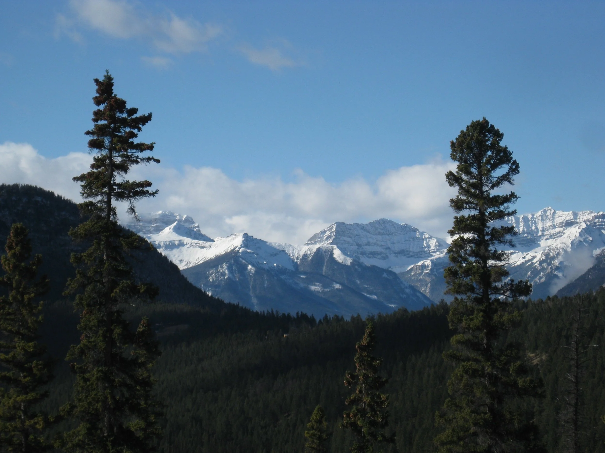 IMG_4368.jpg
