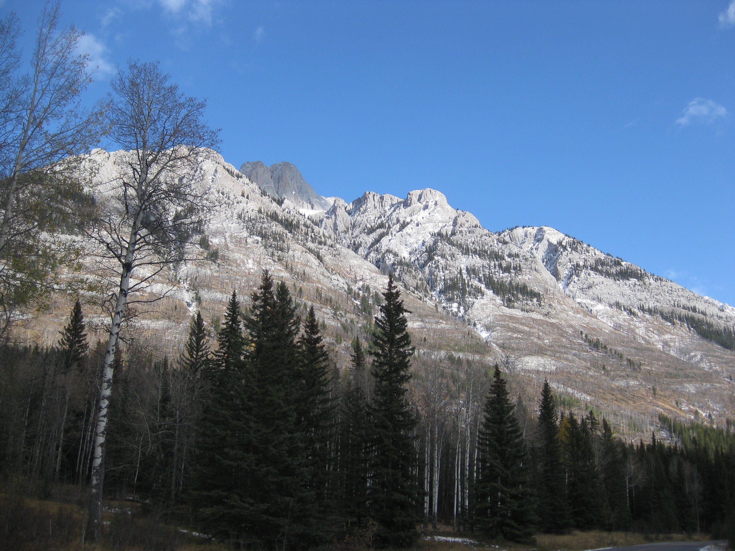 IMG_4717.jpg
