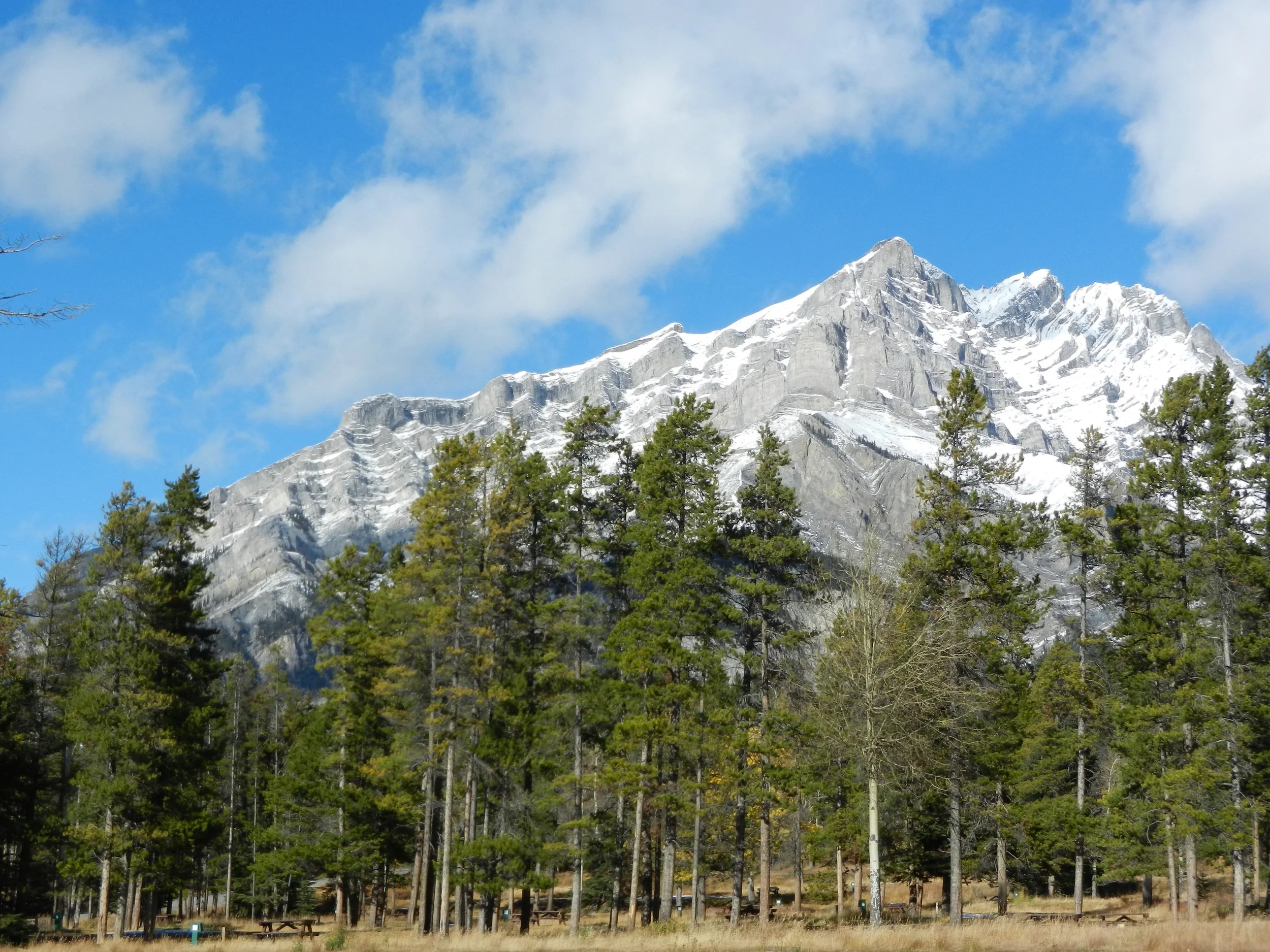 DSCN3433.jpg