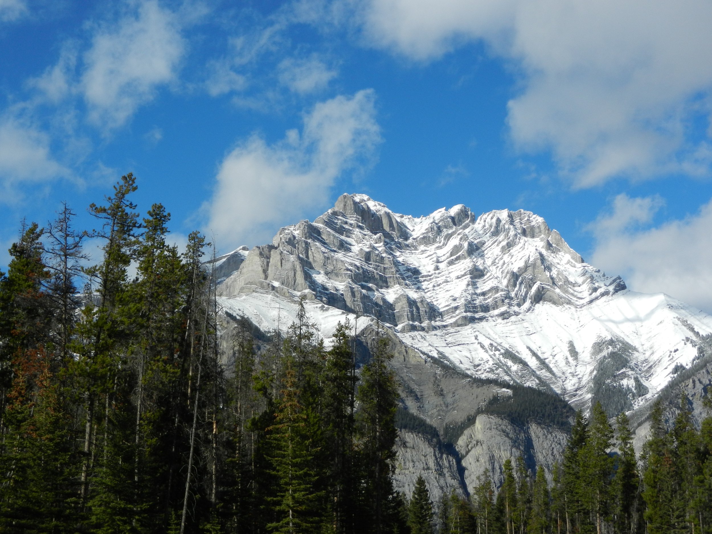 DSCN3448.jpg