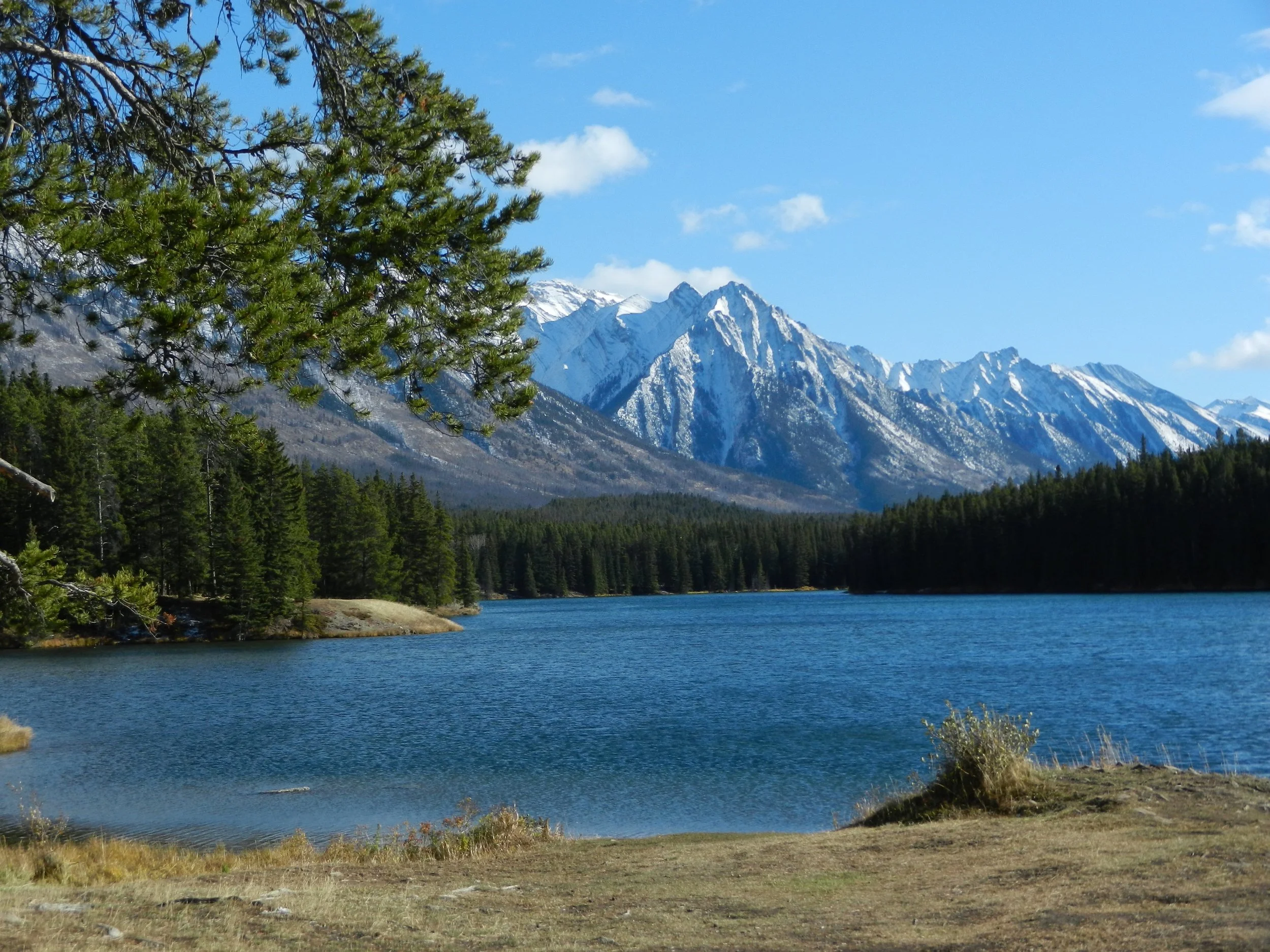 DSCN3549.jpg
