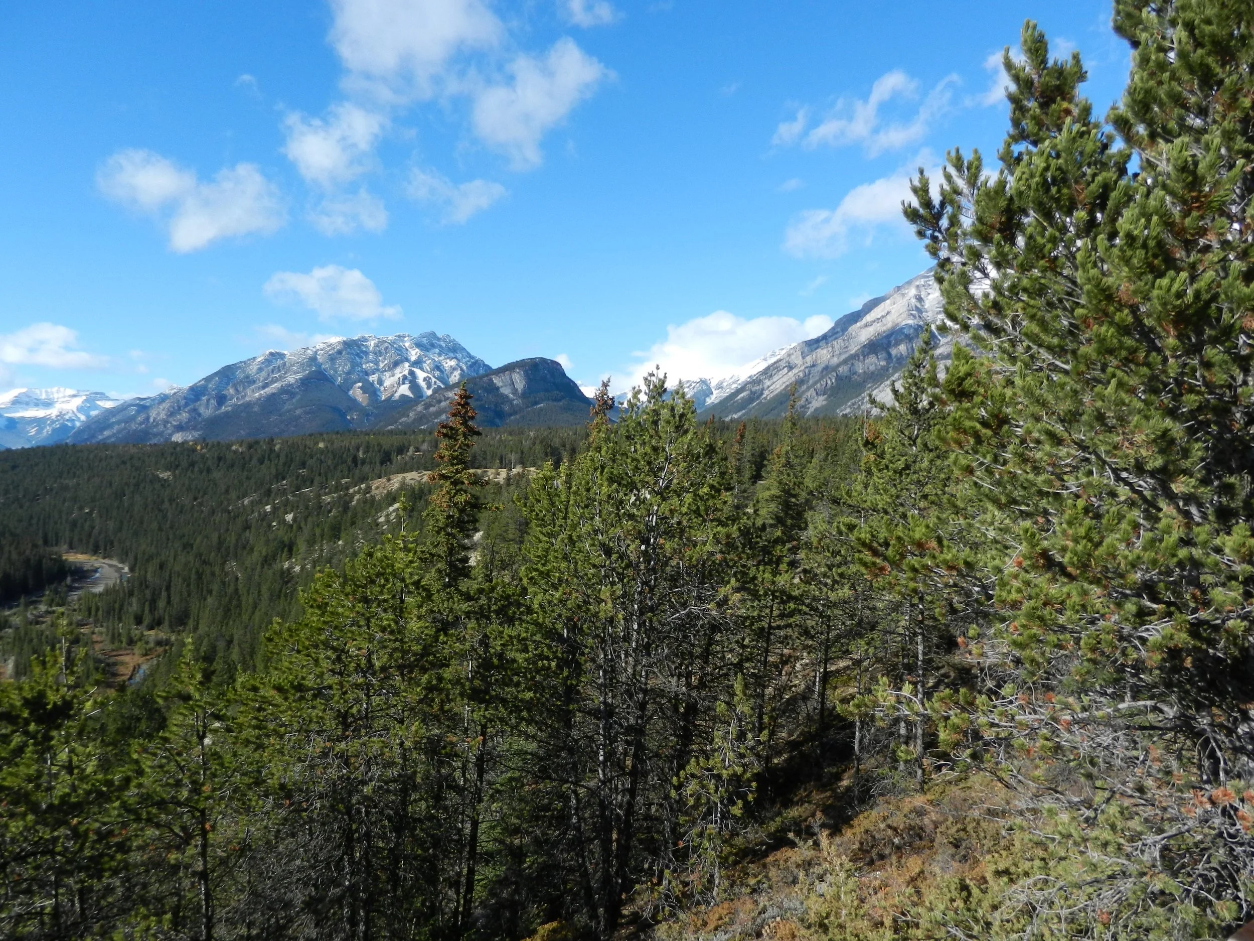 DSCN3416.jpg