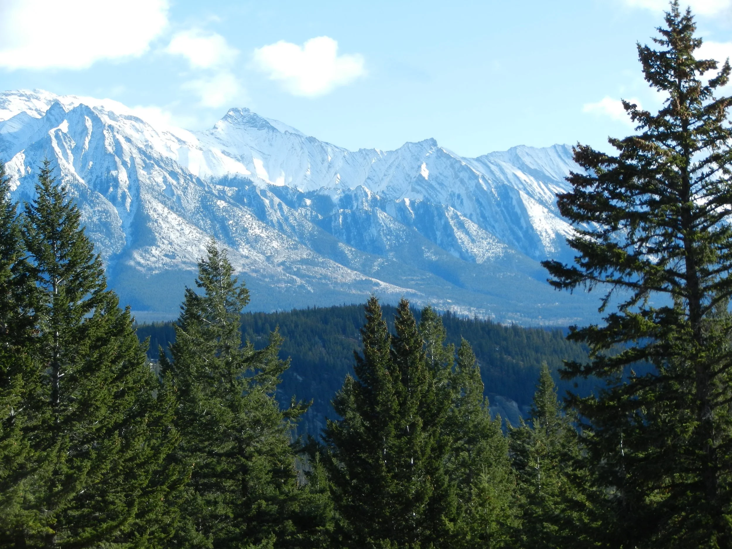 DSCN3439.jpg