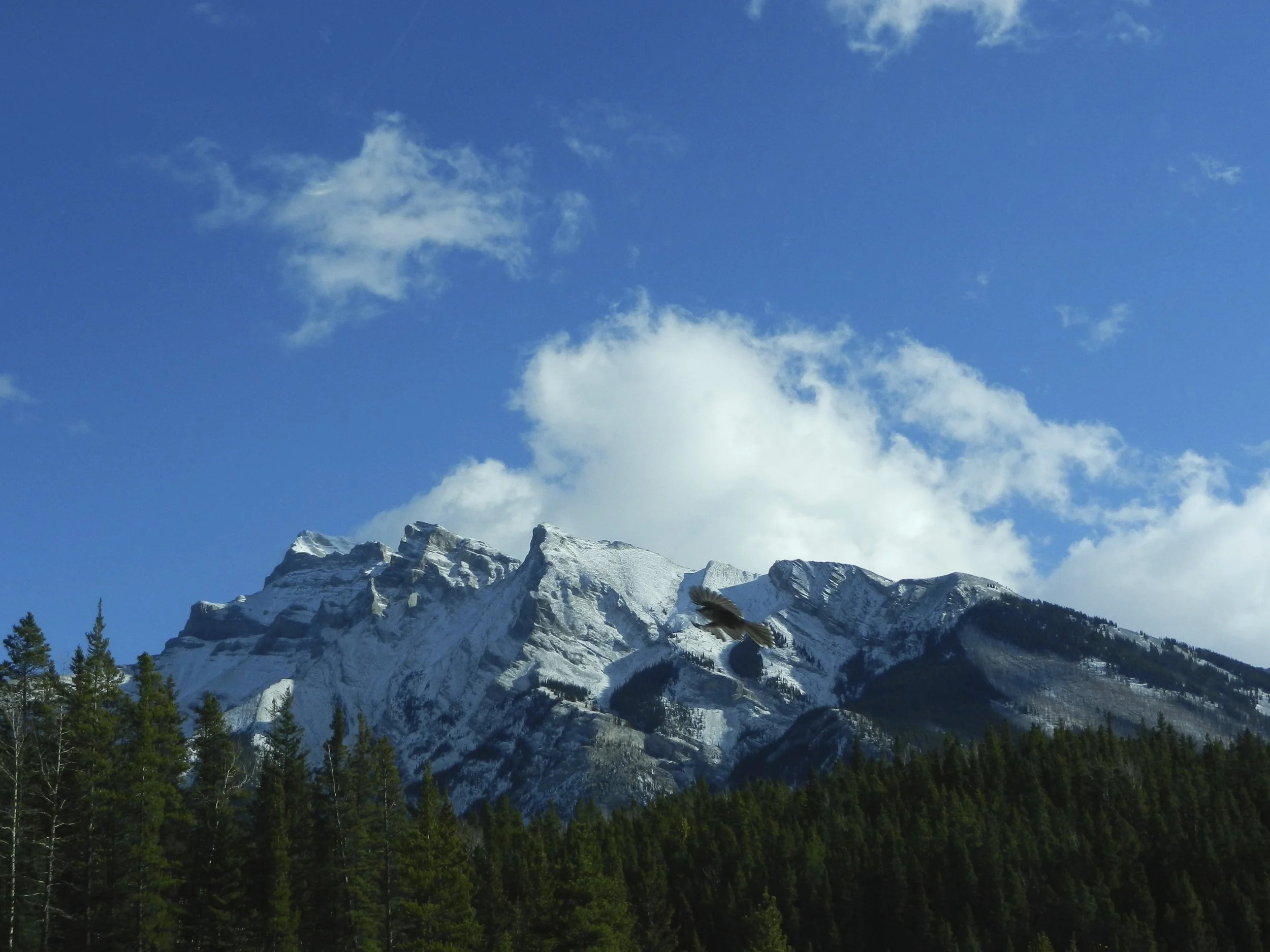 DSCN3485.jpg