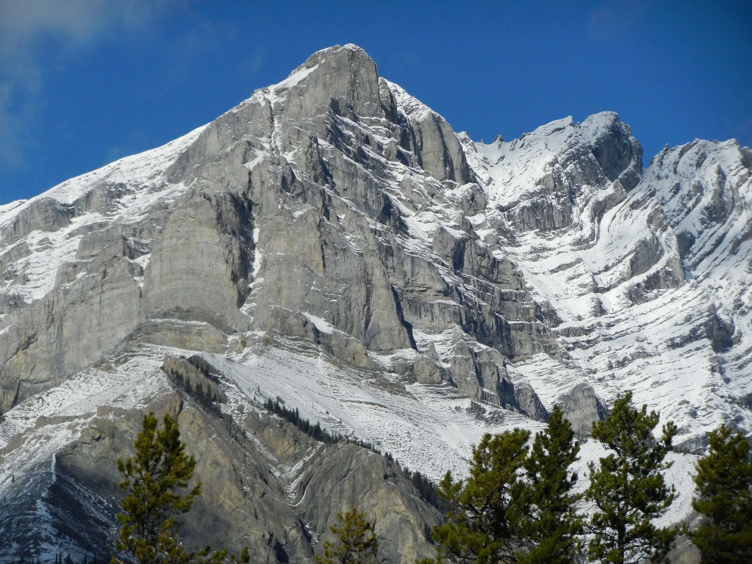 DSCN3436.jpg