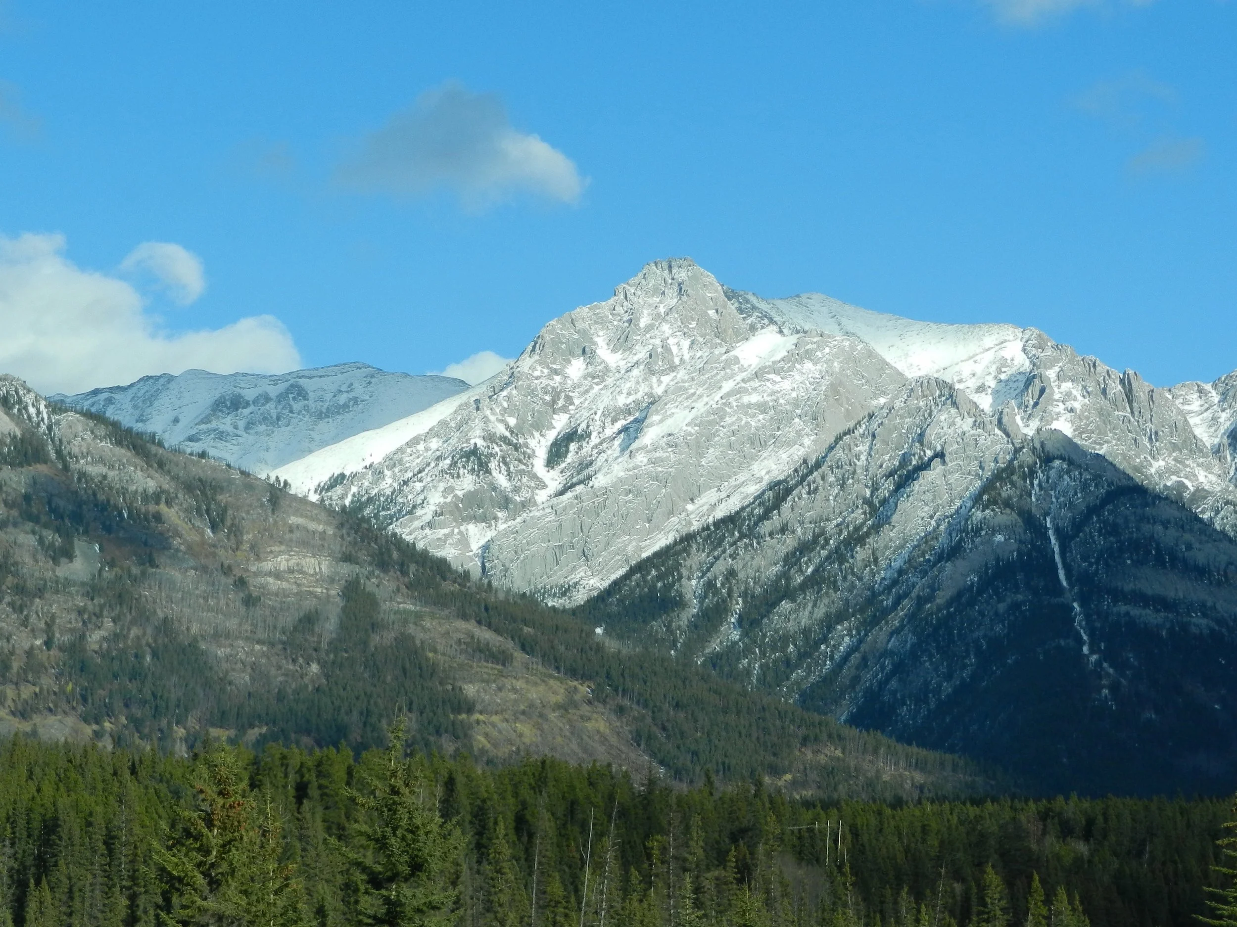 DSCN3815.jpg