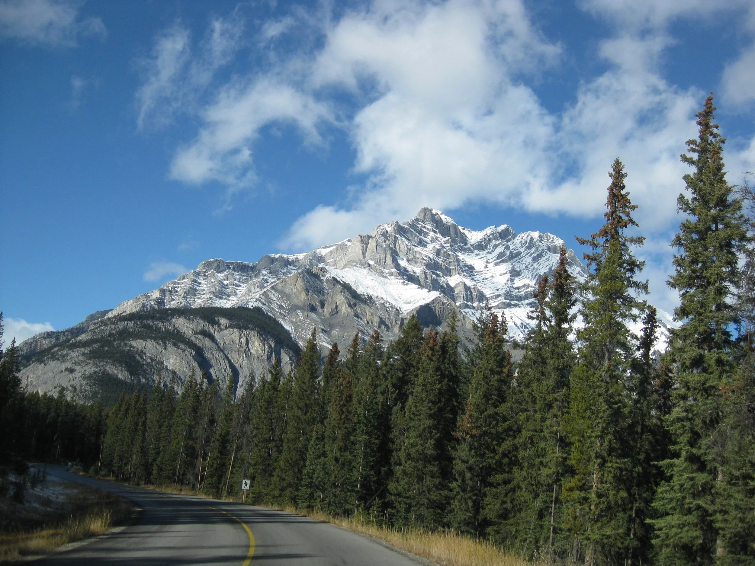 IMG_4499.jpg